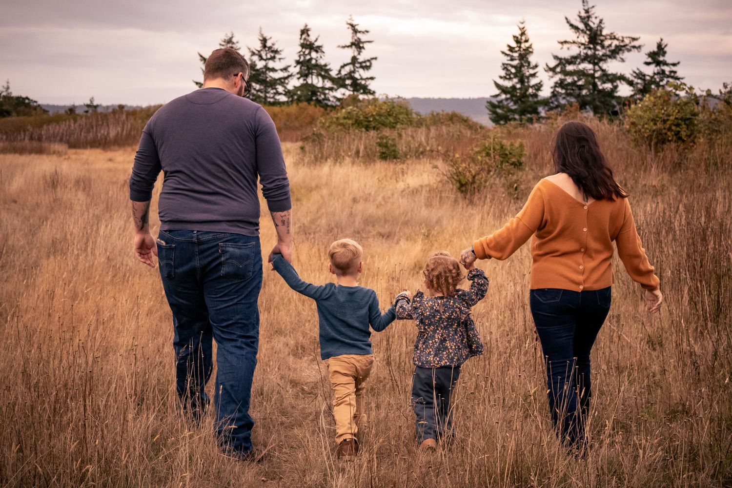 Family of four walks hand-in-hand through tall golden grass toward a grove of evergreen trees.