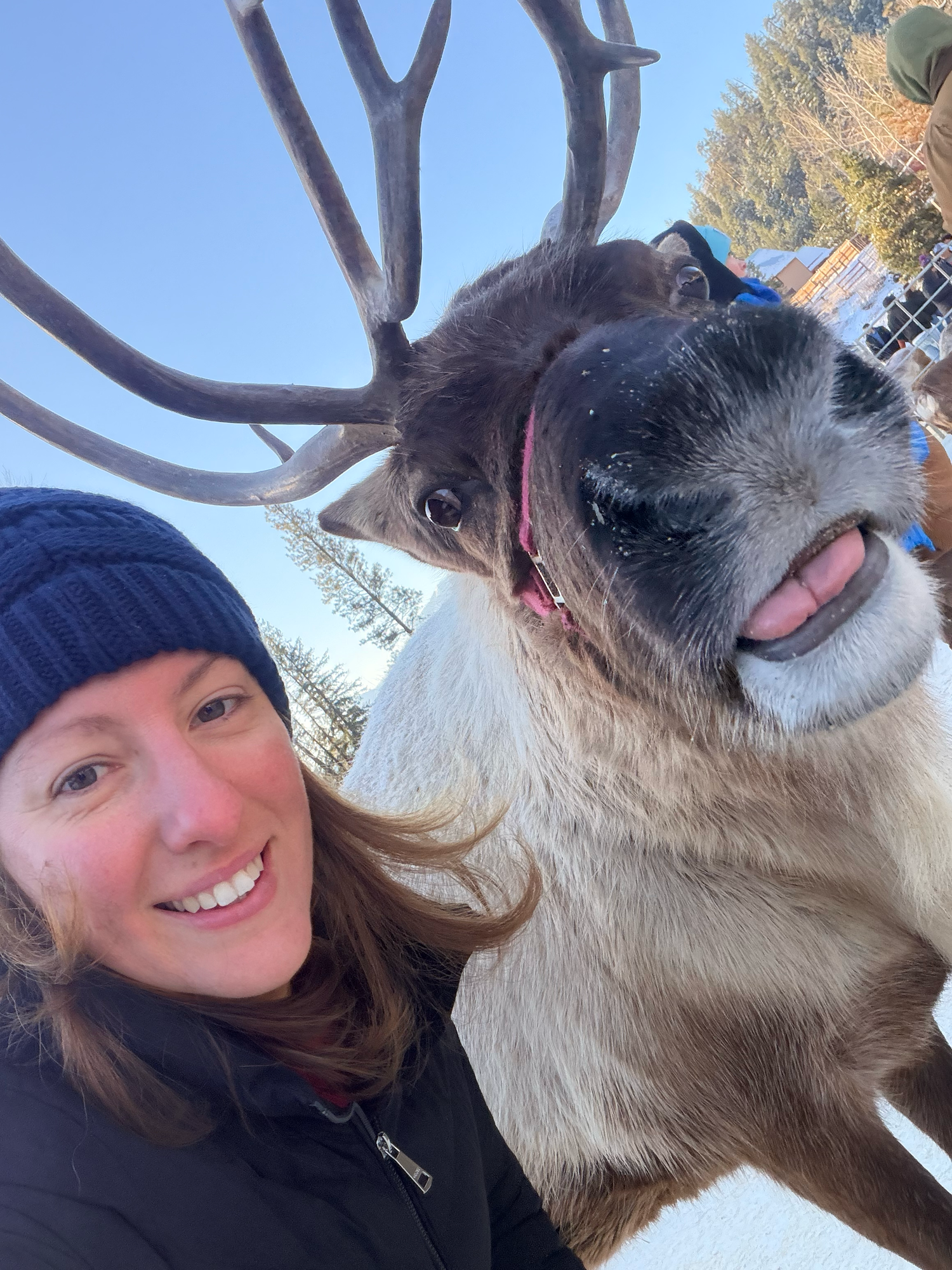 Woman smiling in a winter selfie with a reindeer sticking out its tongue outdoors in snowy setting.