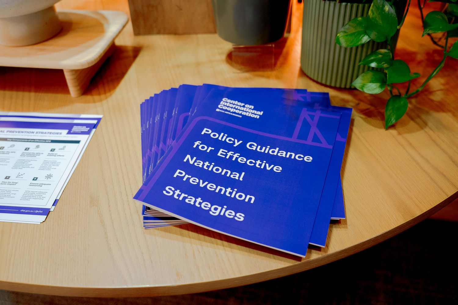 Stack of blue booklets titled Policy Guidance for Effective National Prevention Strategies on a table.