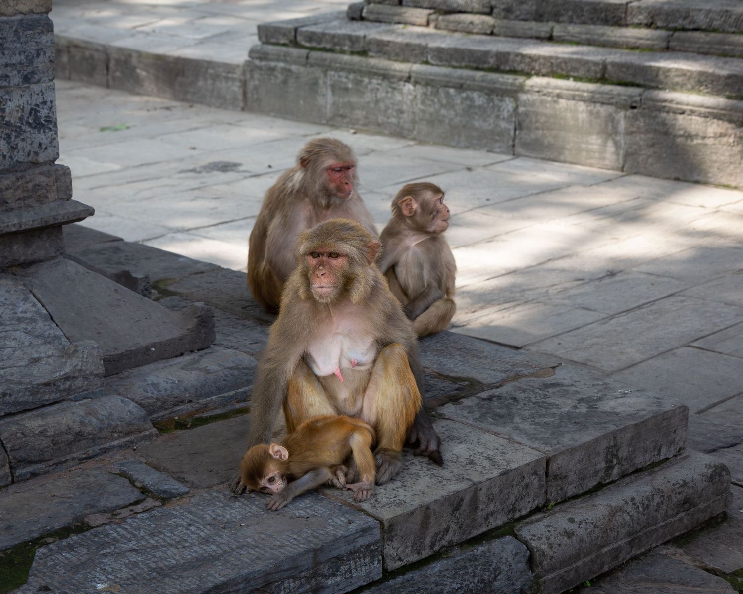 Kathmandu