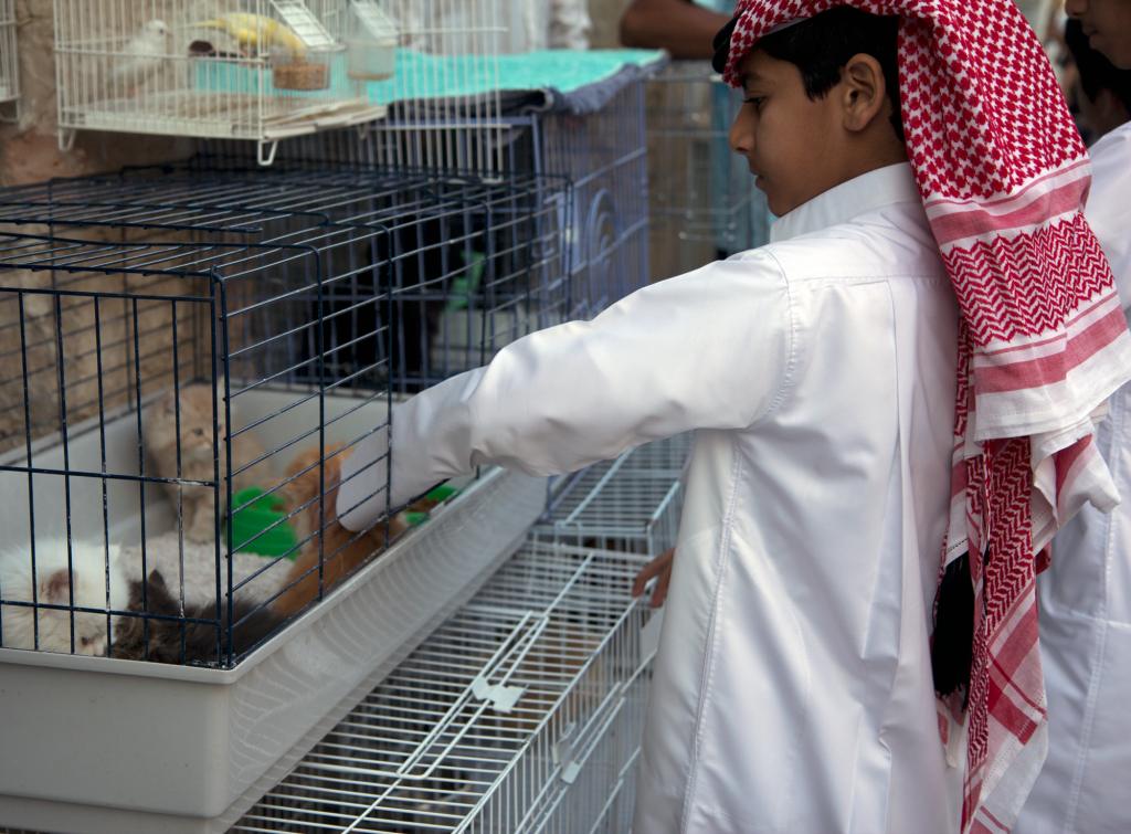 Doha, Qatar