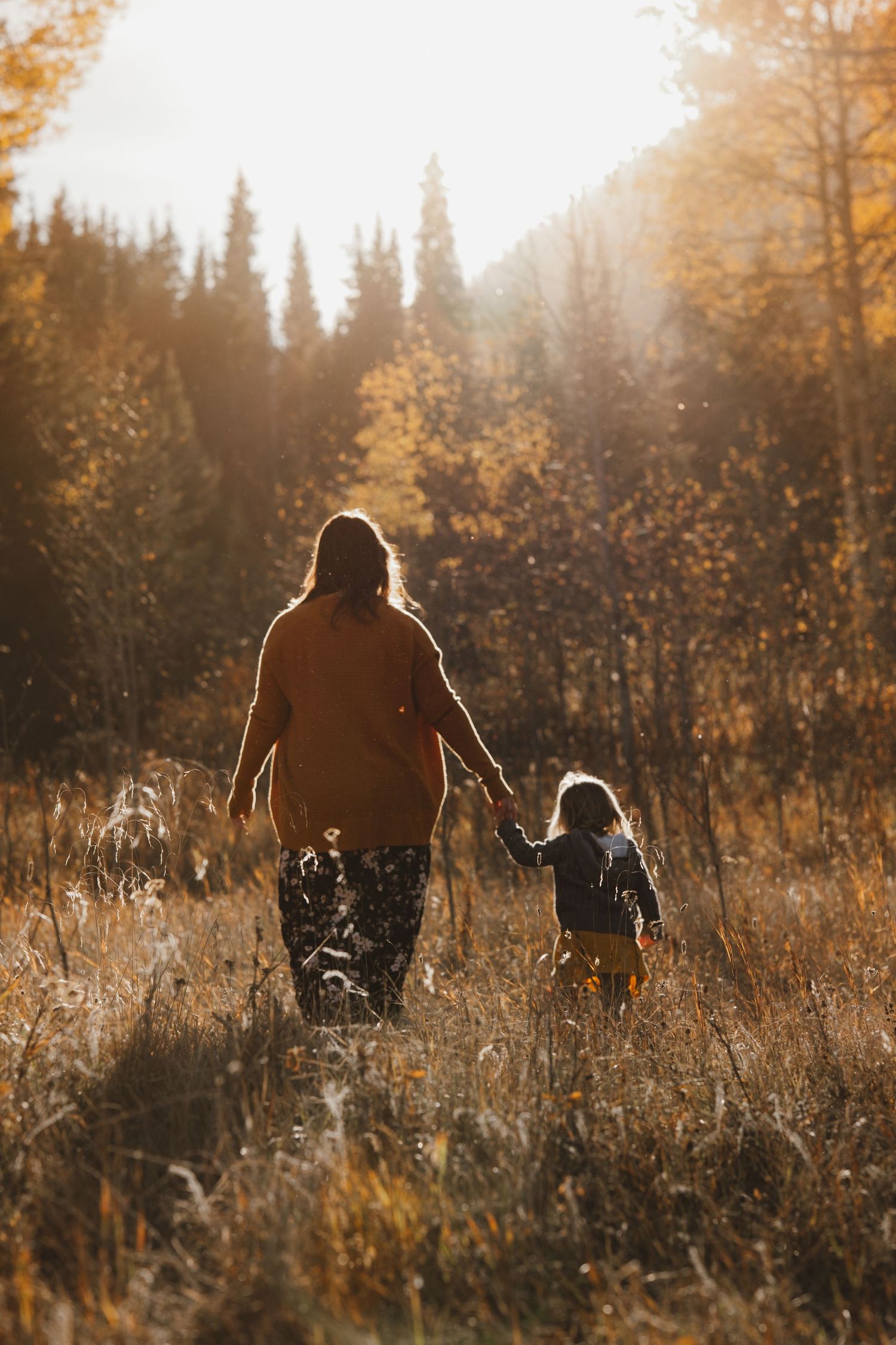 Mother and toddler walking hand in hand through a sunlit golden autumn meadow.