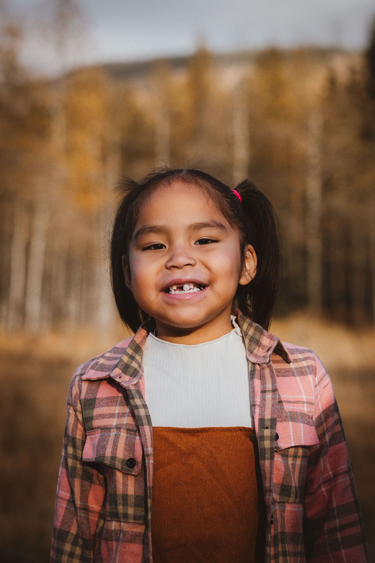 A smiling young girl with pigtails wearing a pink plaid shirt poses in a golden autumn field.