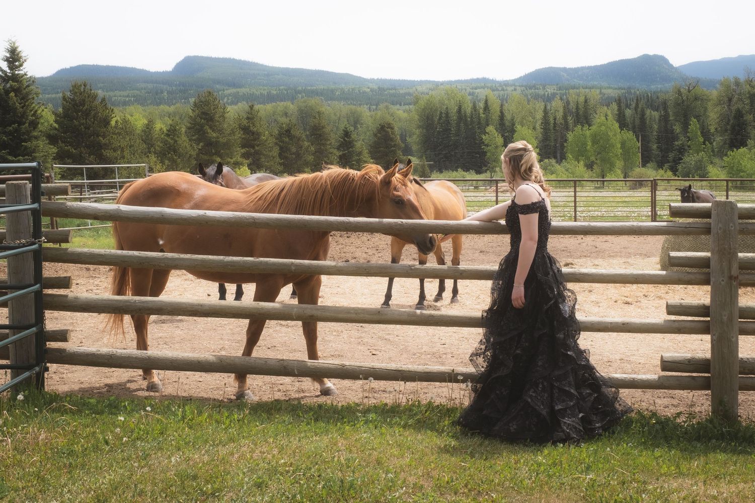 Young woman in elegant black gown standing at horse corral fence with mountains in background.
