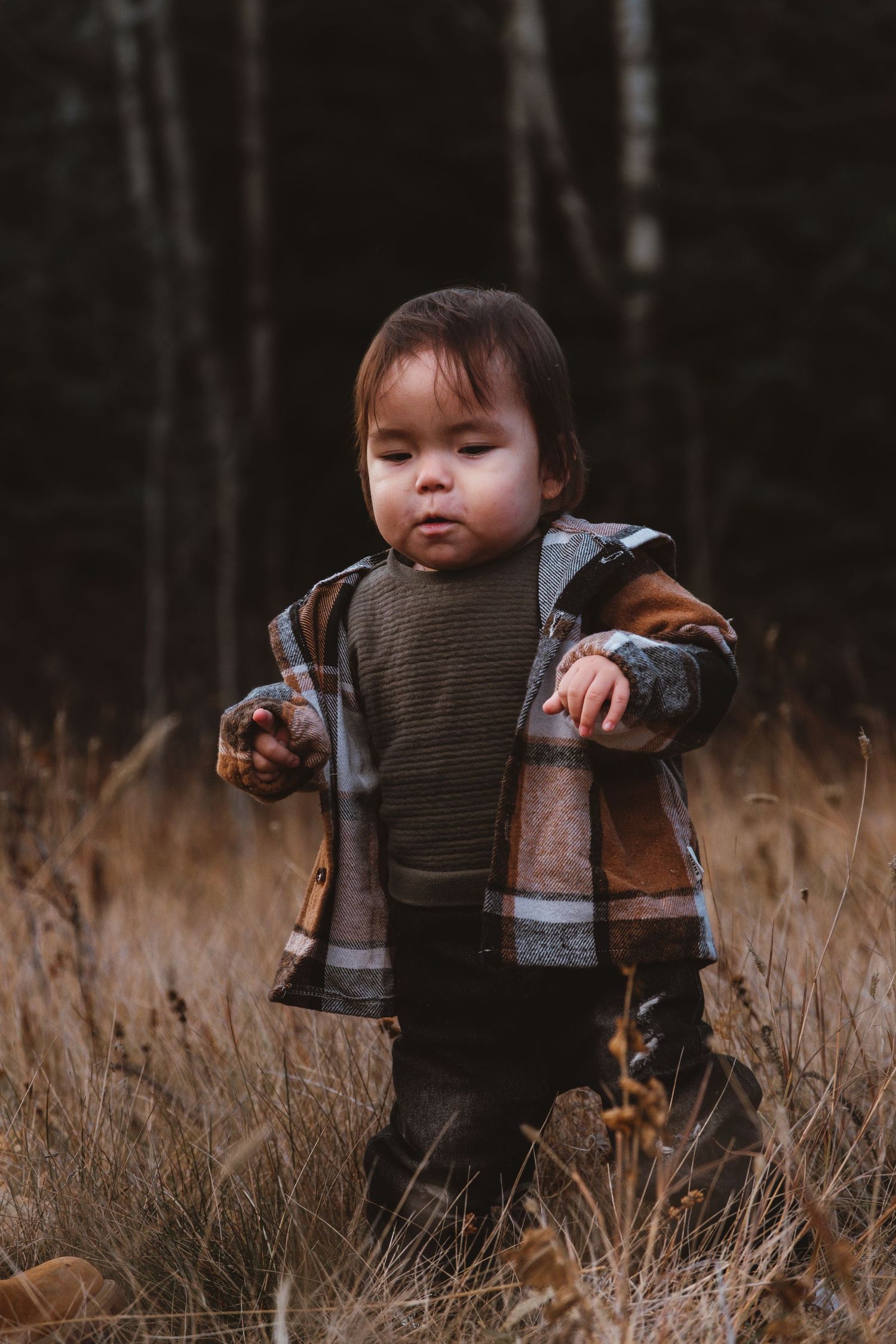 A toddler in a plaid jacket stands in dry autumn grass with dark forest trees in the background.