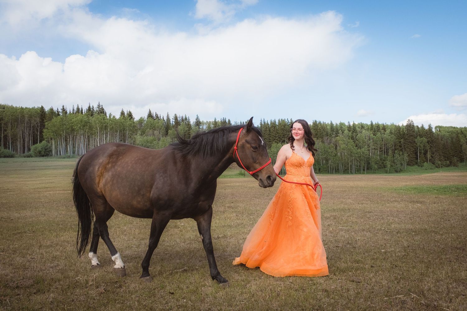 Young woman in orange gown walks beside dark horse in green rural field.