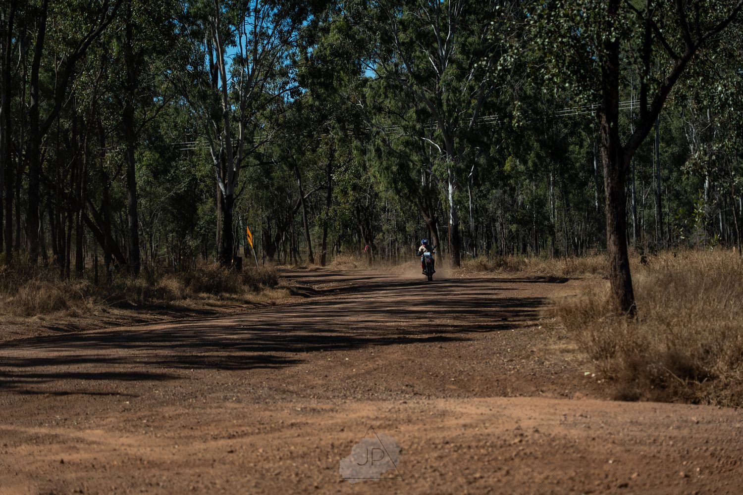A lone dirt trail winding through a eucalyptus forest with a distant figure walking in the afternoon light.