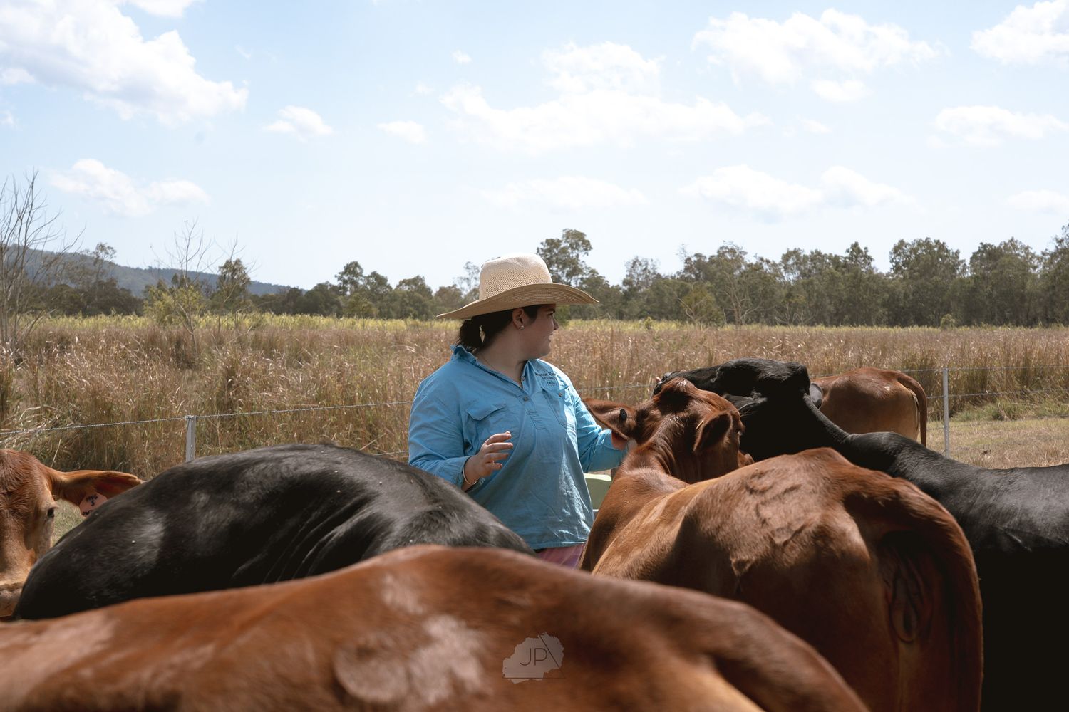 A person in a blue shirt and straw hat stands among a group of brown and black horses in a rural field.