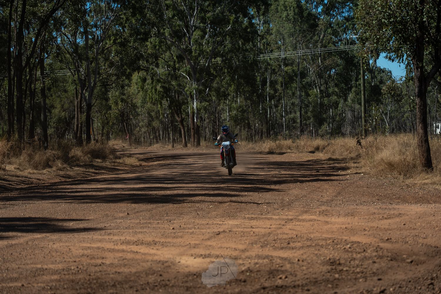 A scenic dirt trail winds through a eucalyptus forest with a solitary figure visible in the distance.