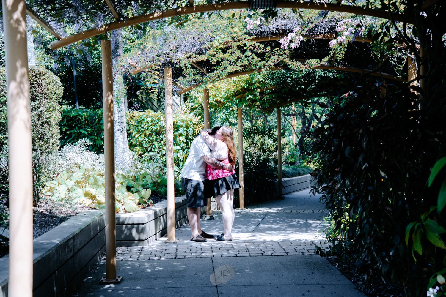 A romantic garden pathway with wisteria flowers blooming overhead on a pergola structure.