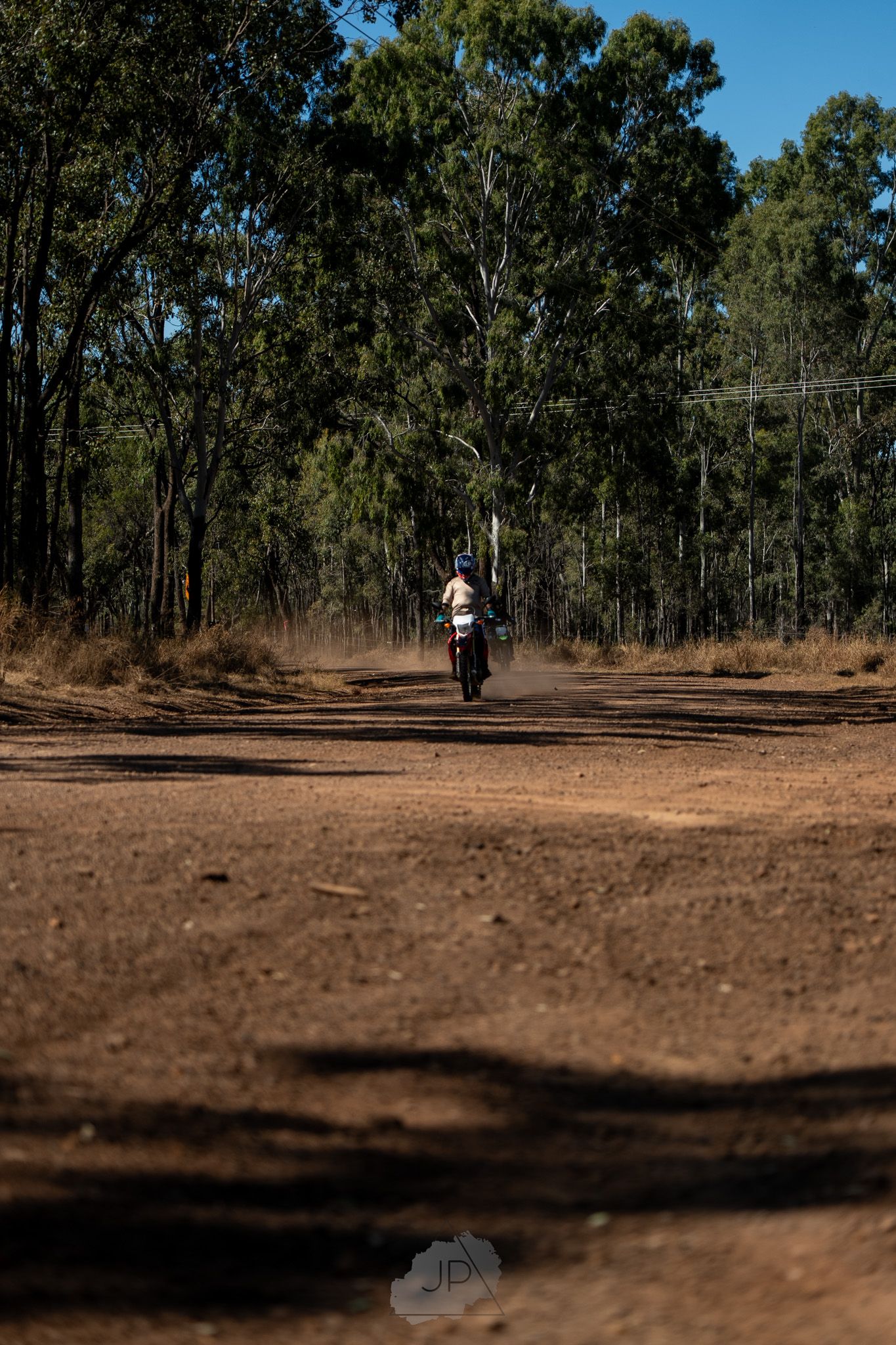 A dirt bike rider navigates a dusty trail through tall eucalyptus trees in the Australian bush.