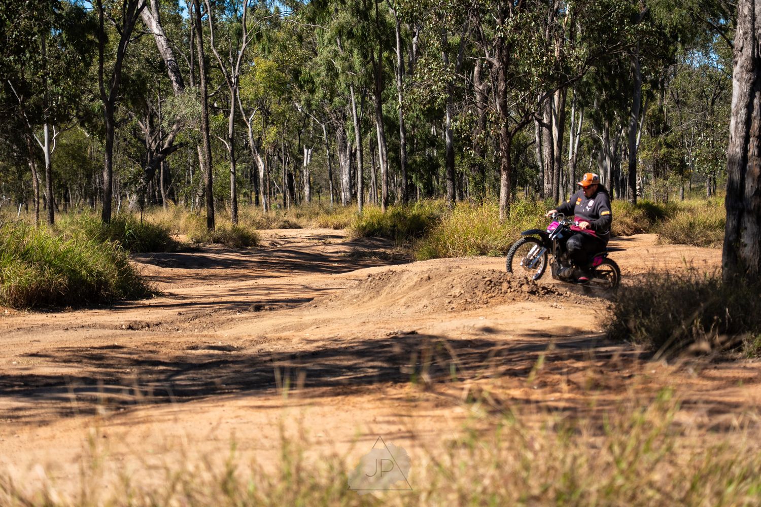 Dirt bike rider navigating a winding trail through eucalyptus trees in the Australian bush.