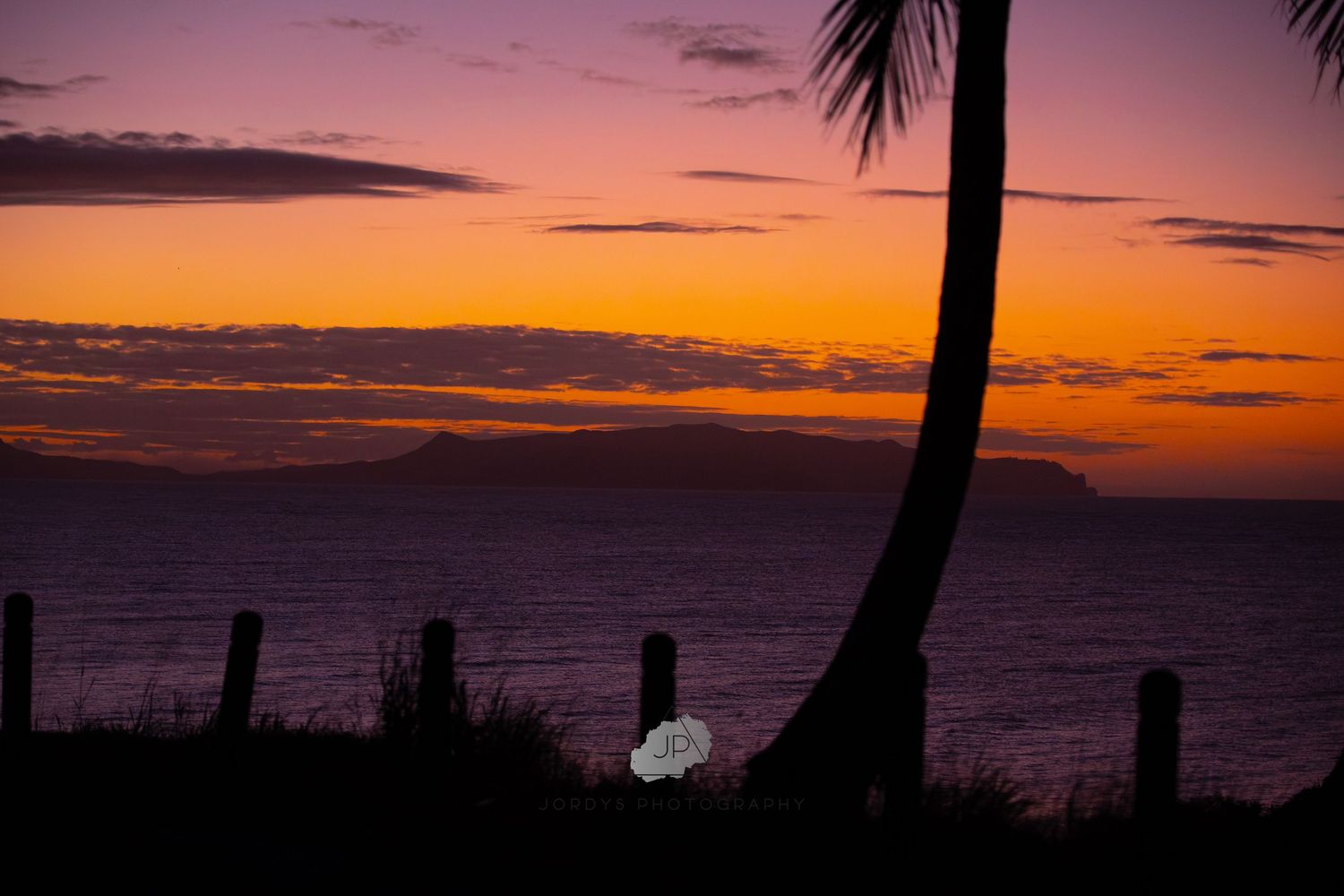 Palm trees frame a vibrant orange and purple sunset over a calm ocean horizon.