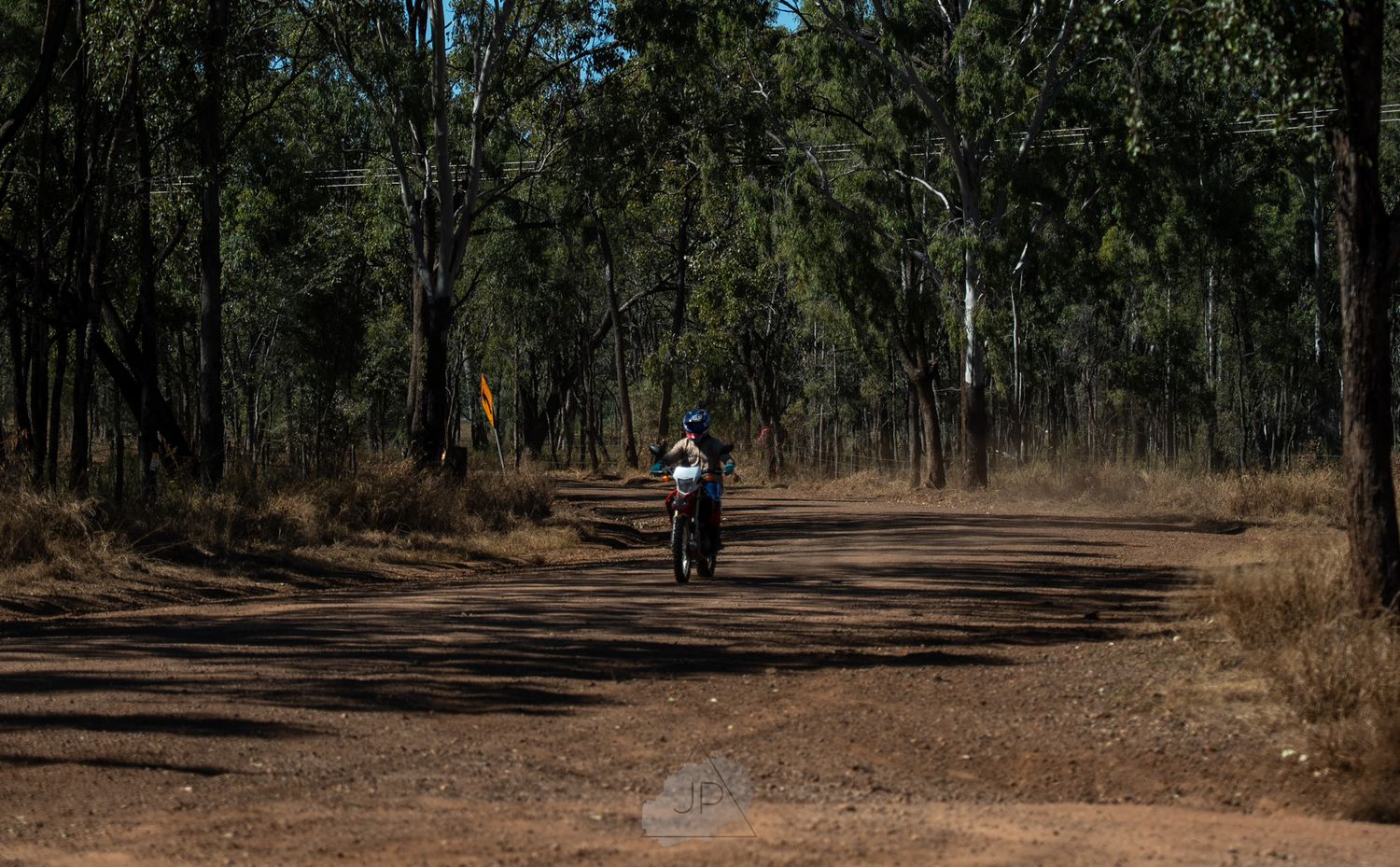 A dirt trail winds through a forest of eucalyptus trees with cyclists in the distance.