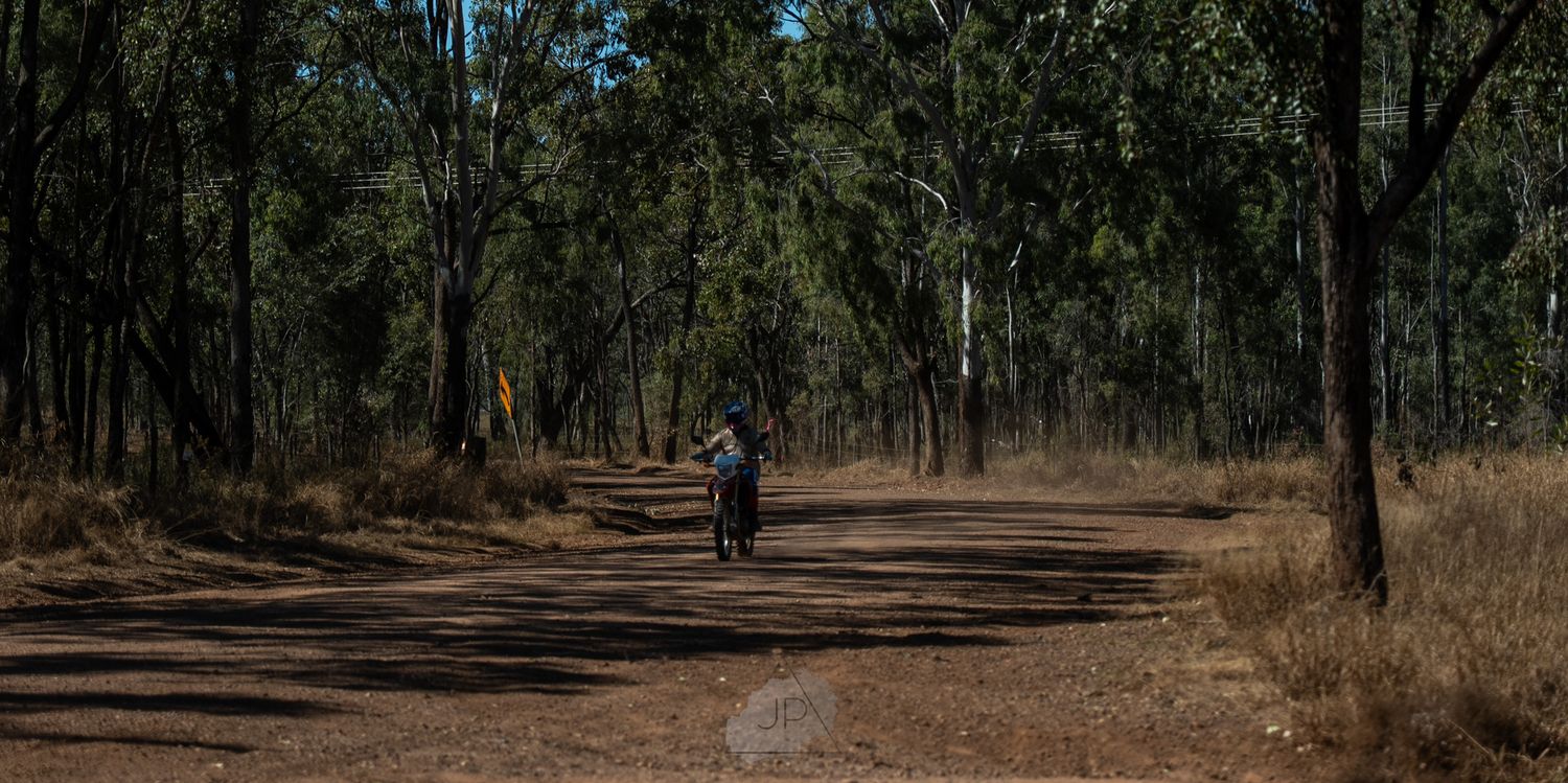 Person hiking on a shaded forest trail surrounded by tall trees and dappled sunlight.