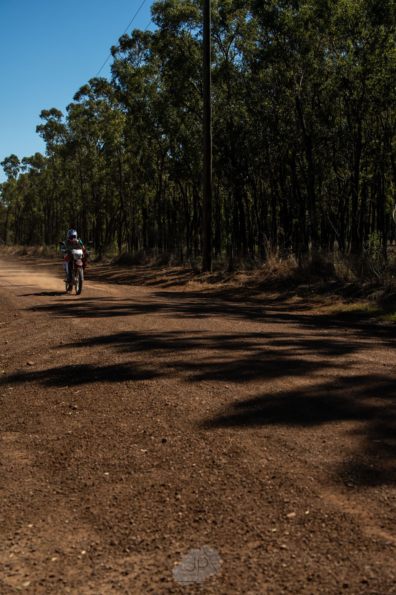 Dirt trail winding through a eucalyptus forest with mountain bikers visible in the distance.