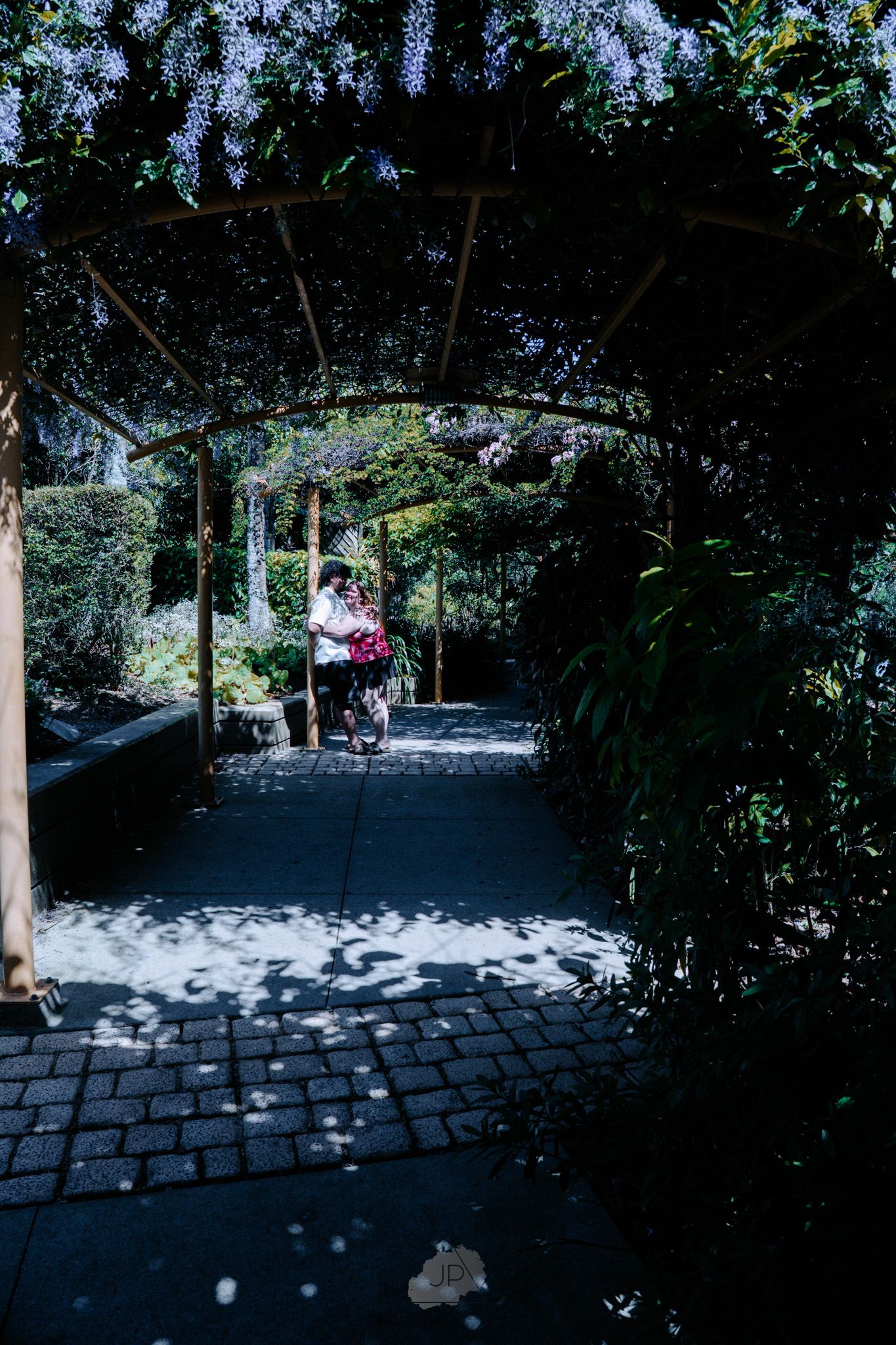 Sunlight creates dappled shadows on a cobblestone path through a serene garden setting.