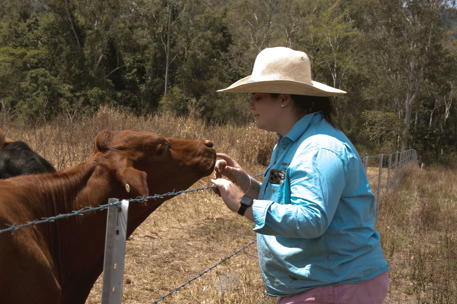 Person in turquoise shirt and sun hat works with horses in a rural field setting.
