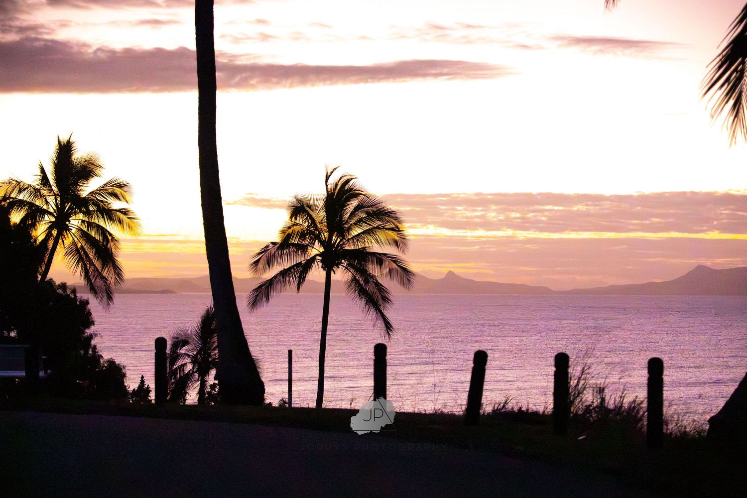 Stunning collage of tropical sunset scenes featuring palm trees silhouetted against vibrant orange and pink skies over the ocean.