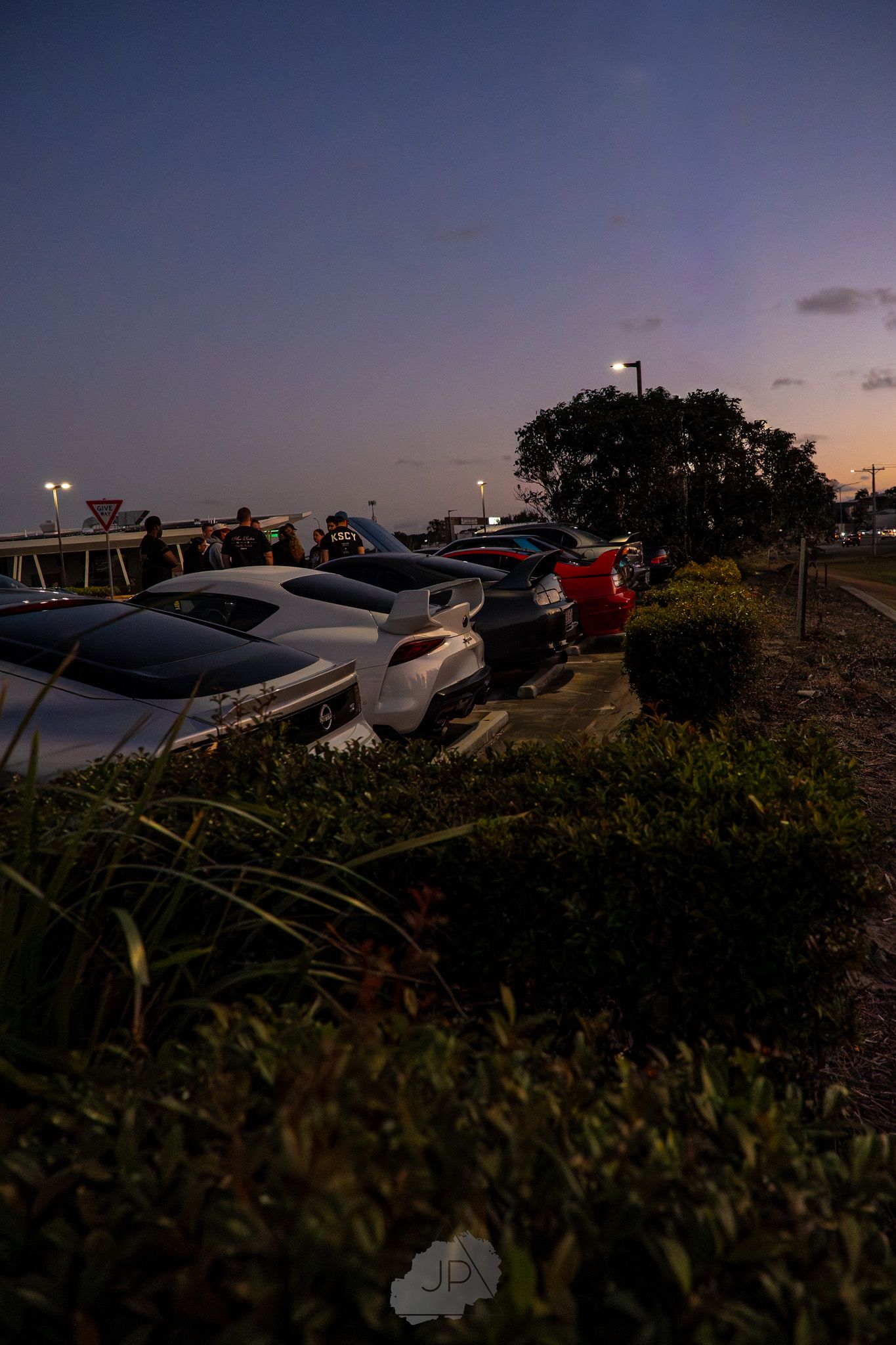 Row of parked vehicles at twilight with ornamental bushes and light poles illuminating the darkening sky.