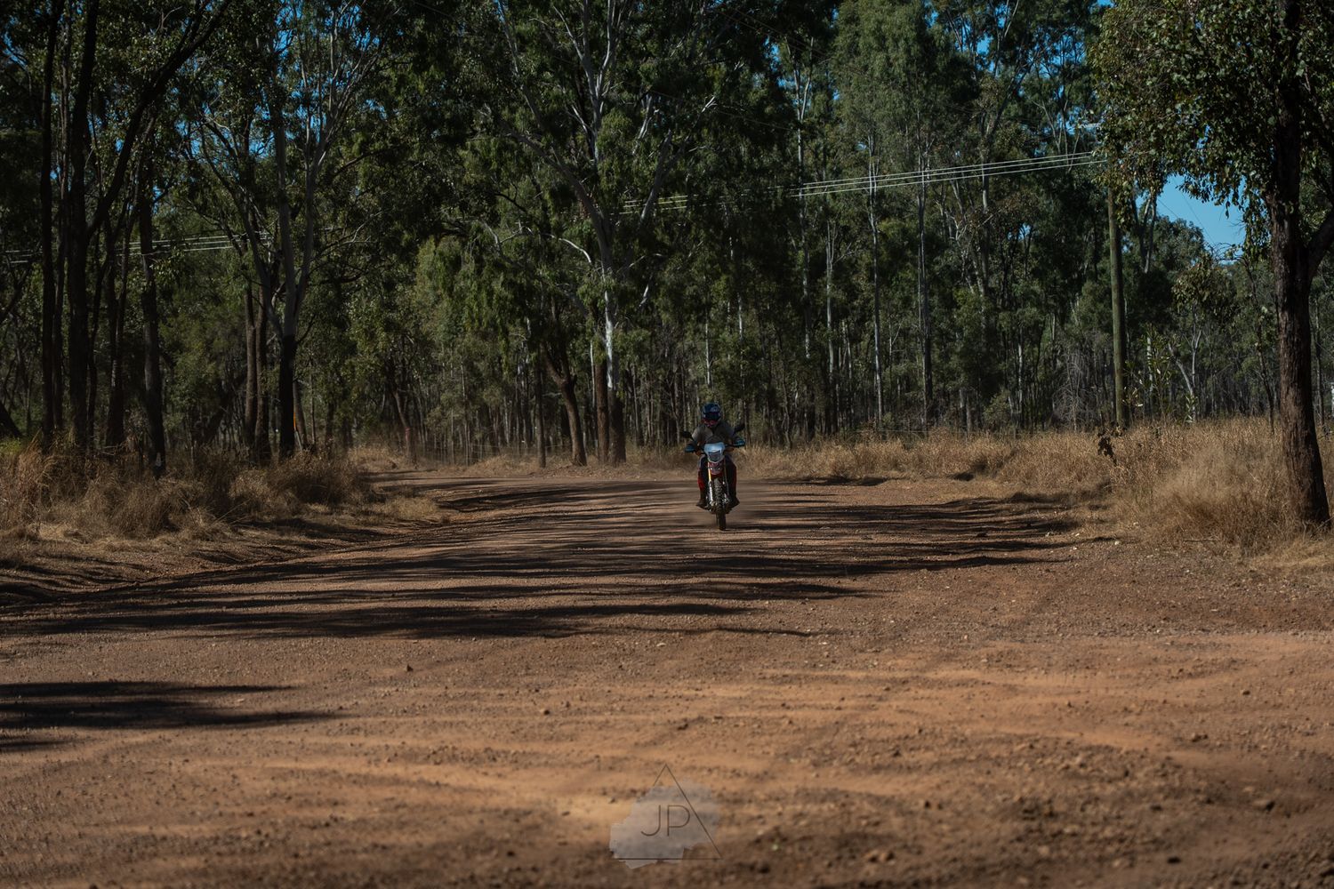 A winding dirt path curves through a dense eucalyptus forest on a sunny day with long shadows on the ground.