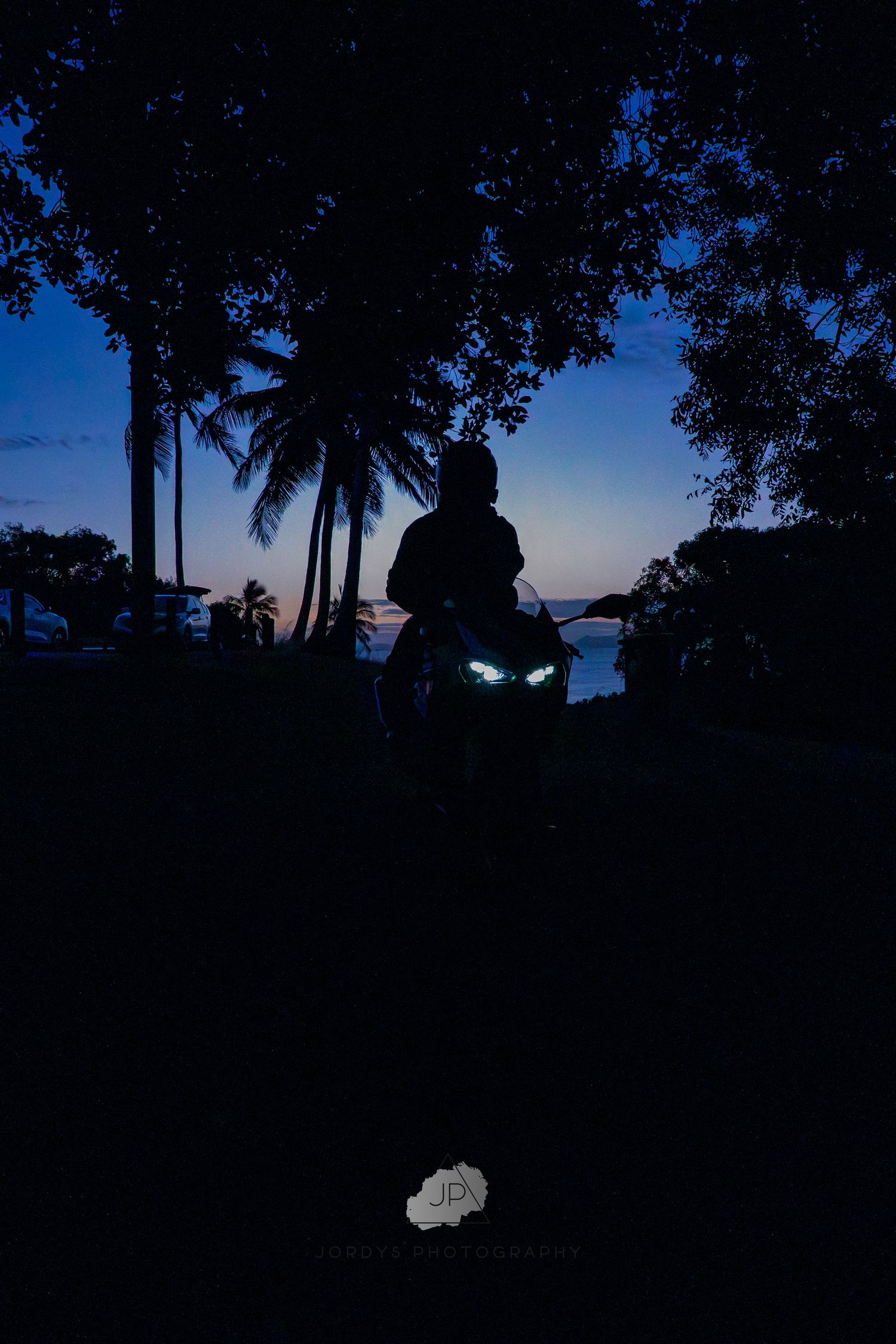 Palm trees silhouetted against a dusky blue sky creating a dramatic tropical skyline at sunset.