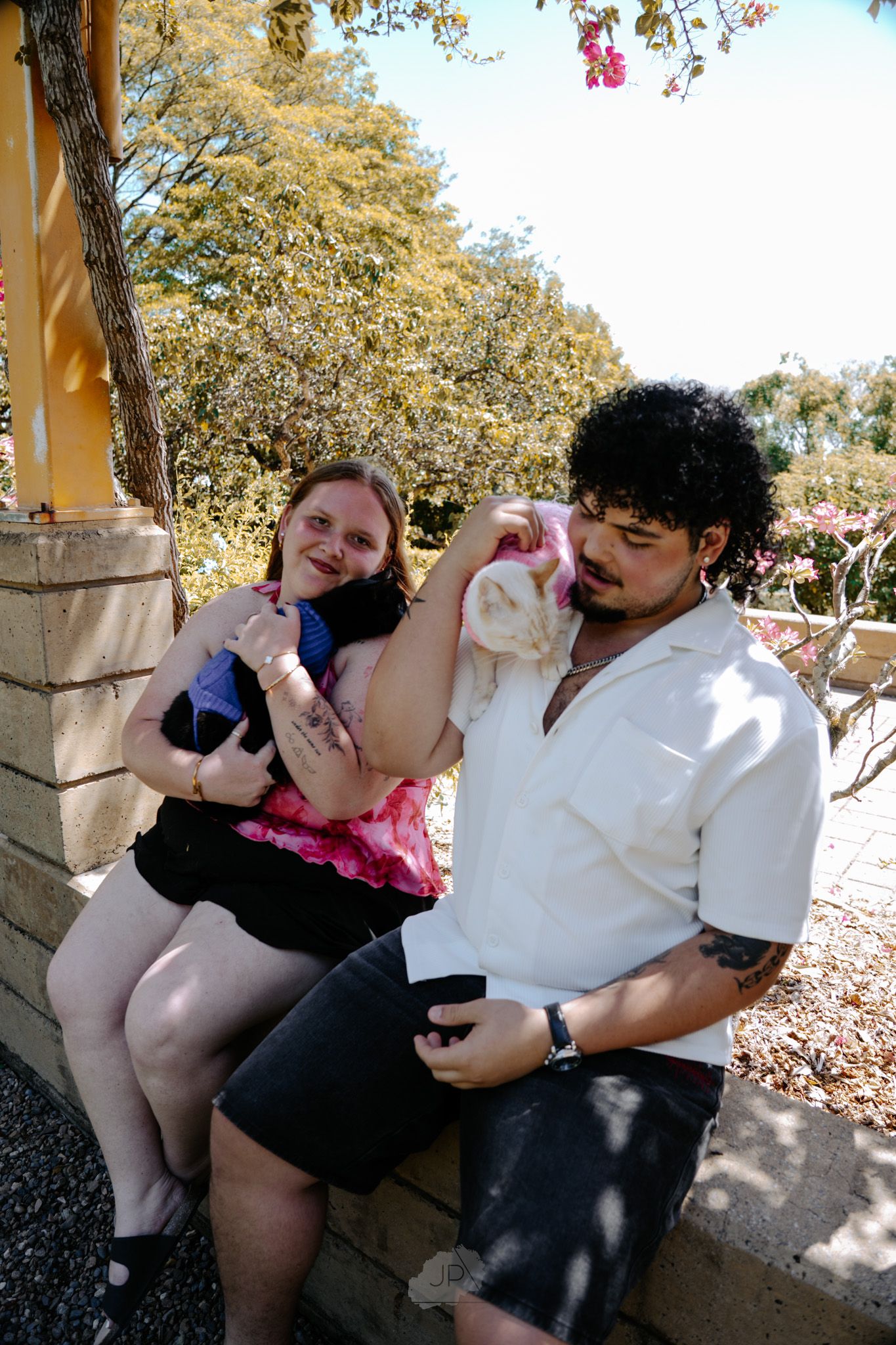 A series of candid outdoor photos showing people embracing and interacting in a park setting with dappled sunlight.