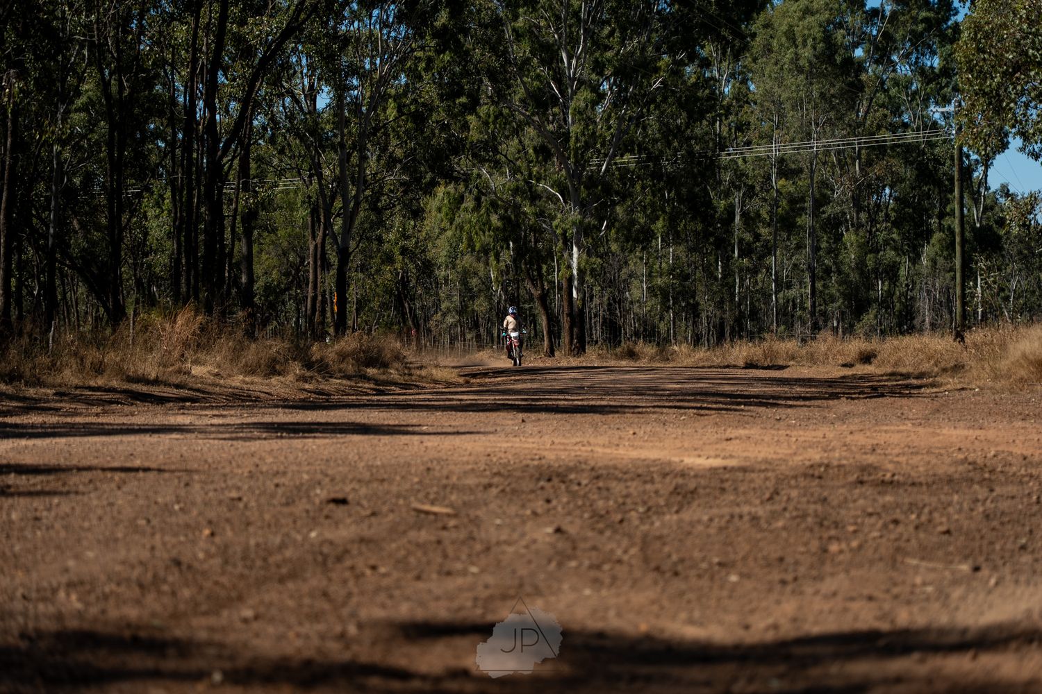 A dry dirt path leads through a wooded forest area on a sunny day.