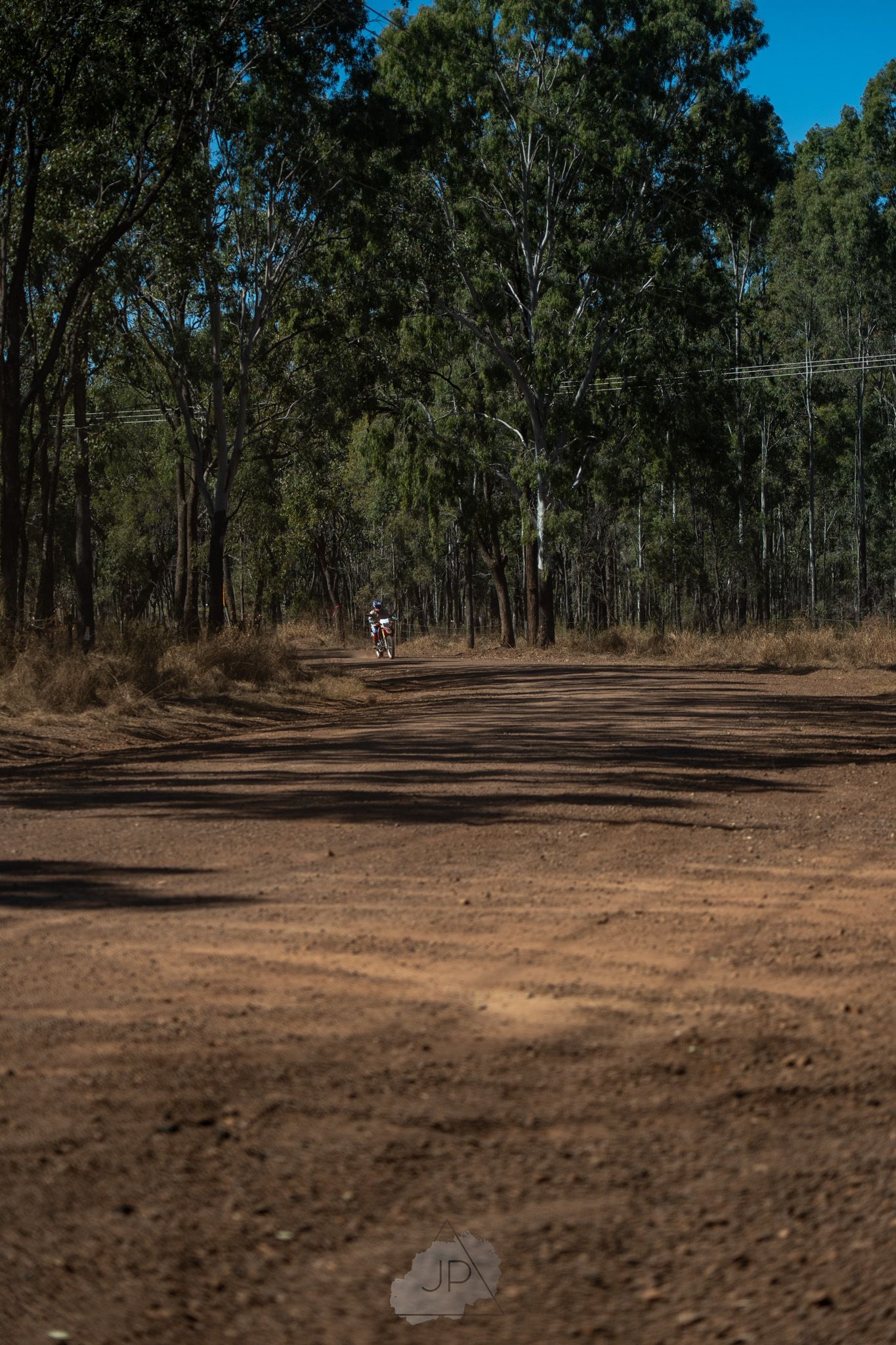 A dirt trail winding through eucalyptus trees in a rural forest with a distant figure on a bike.