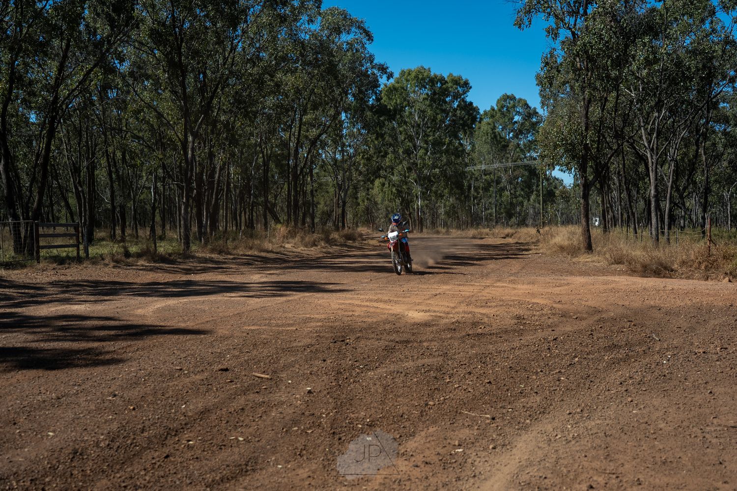 A winding dirt road curves through a eucalyptus forest in the Australian bush on a clear sunny day.