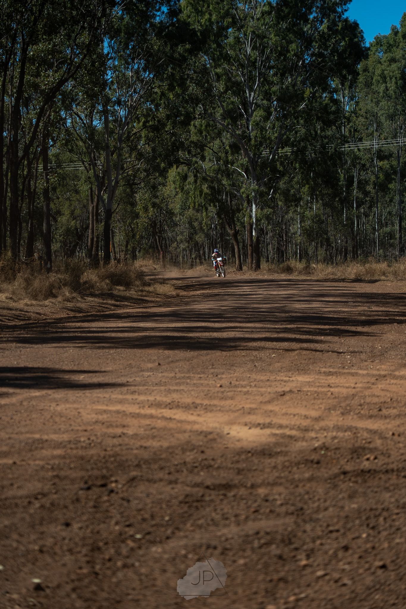 A lone motorcyclist riding along a winding dirt path through a dense eucalyptus forest.