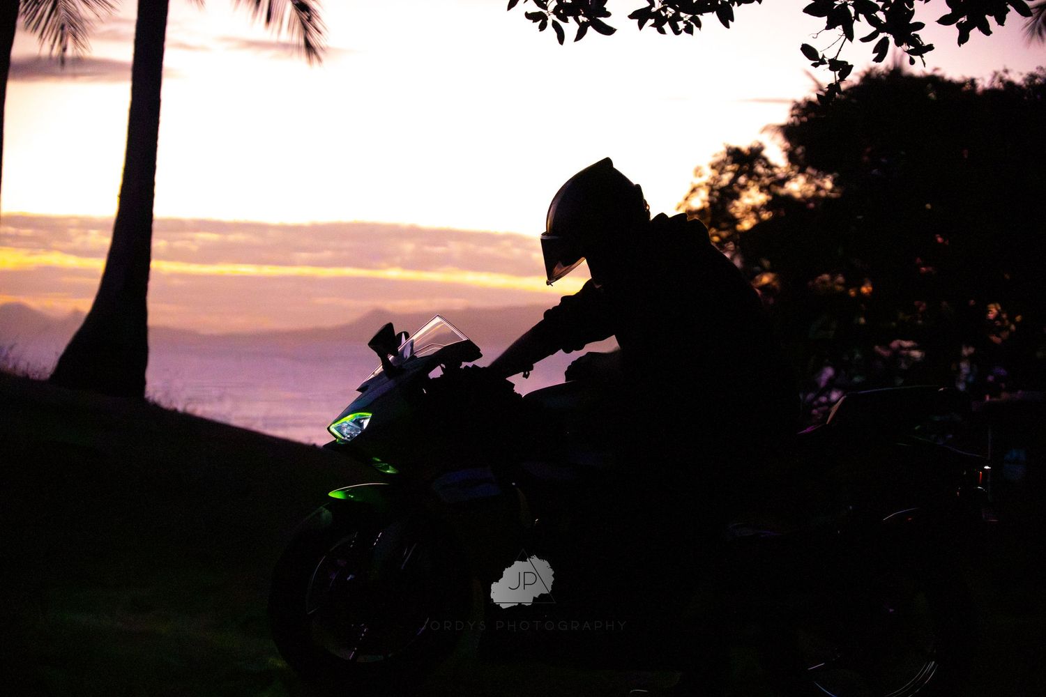 Silhouetted palm trees against a vibrant sunset sky with soft pink and purple hues on the horizon.