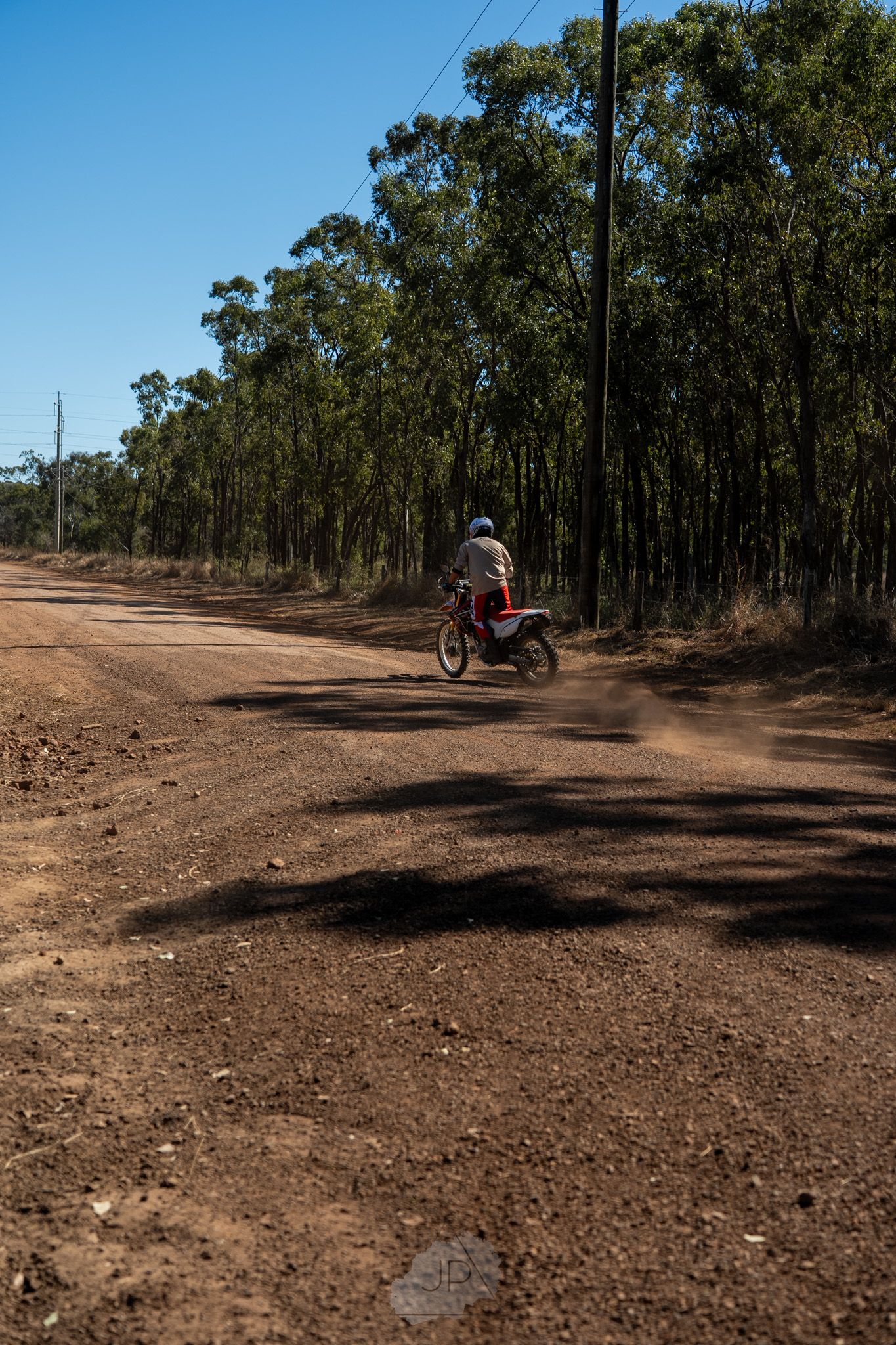 A motorcycle rider navigates a winding dirt path bordered by tall eucalyptus trees.
