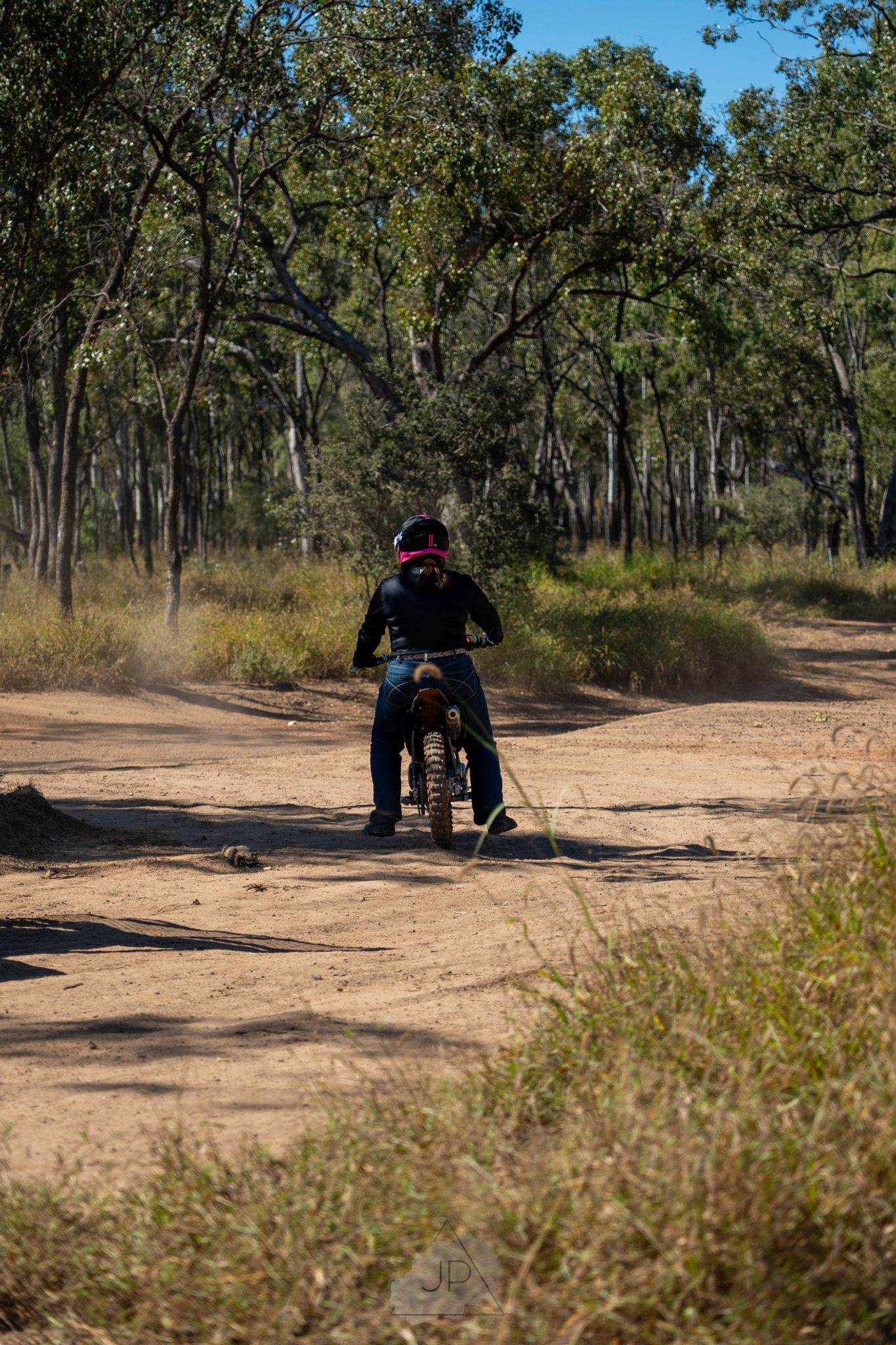 Mountain biker on dirt trail through eucalyptus forest with soft afternoon lighting.