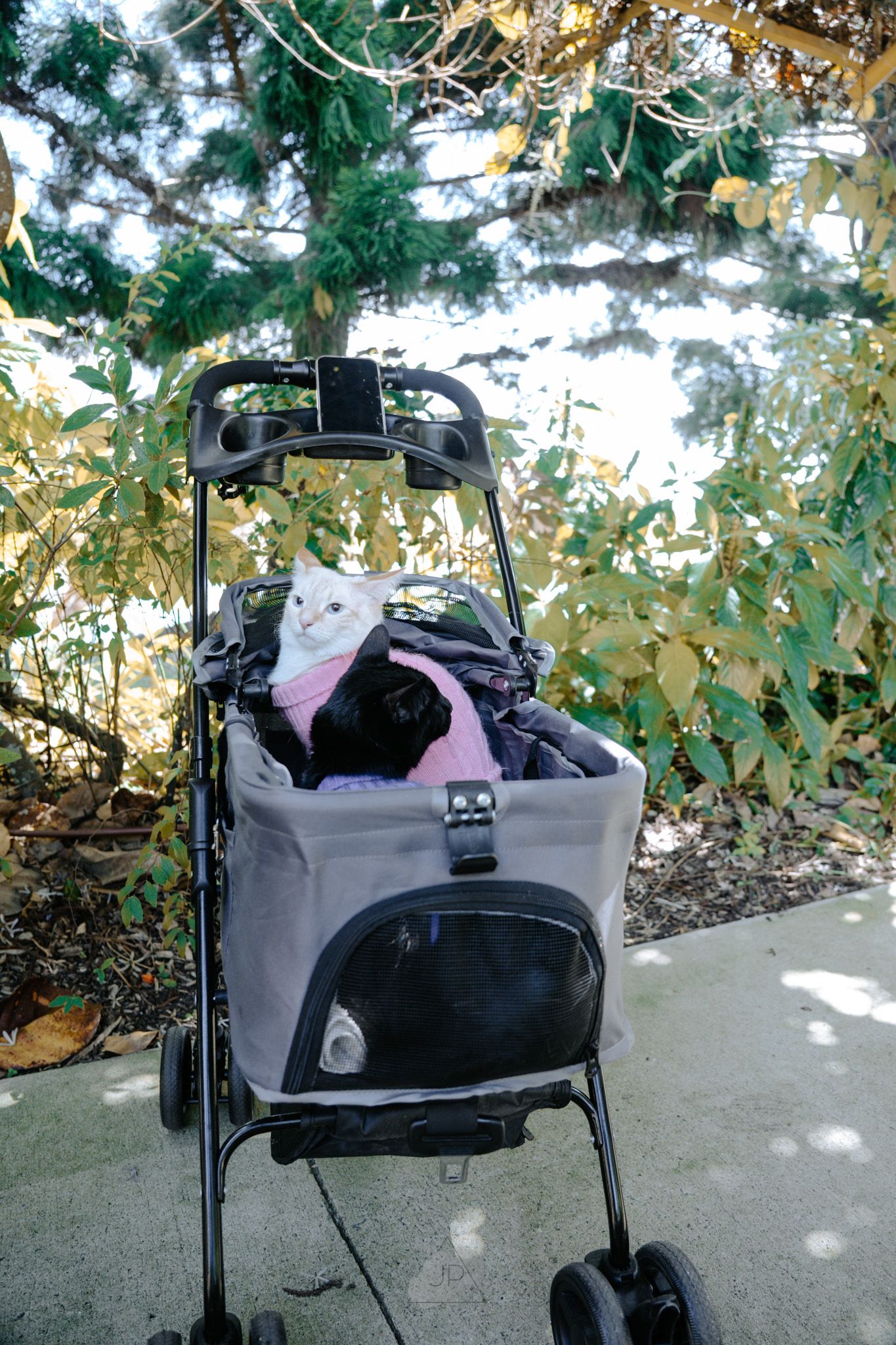 A gray stroller or wheelchair parked on a concrete path surrounded by green foliage and trees.