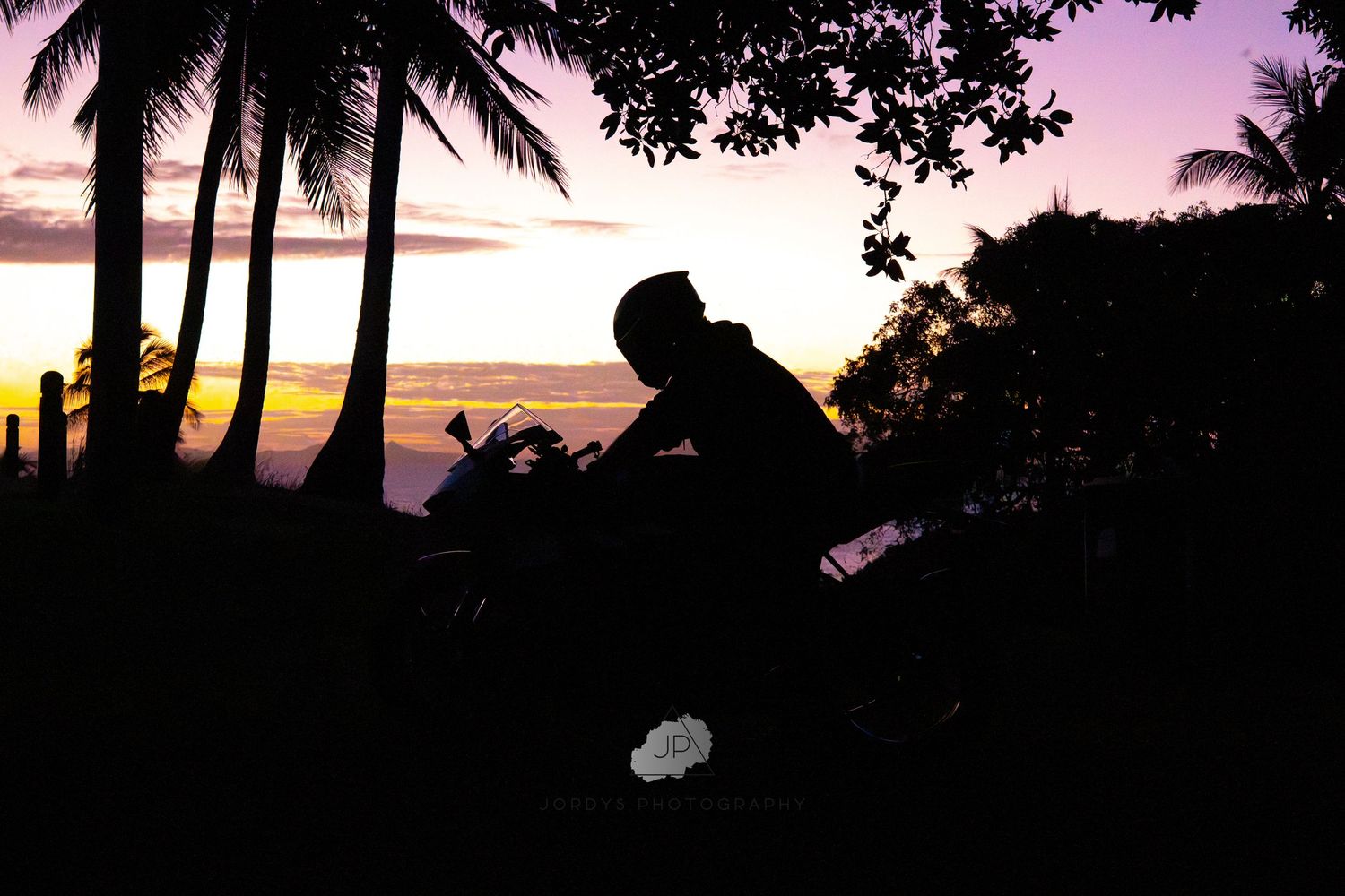 A collection of four tropical sunset scenes with palm trees silhouetted against vibrant pink and orange skies.