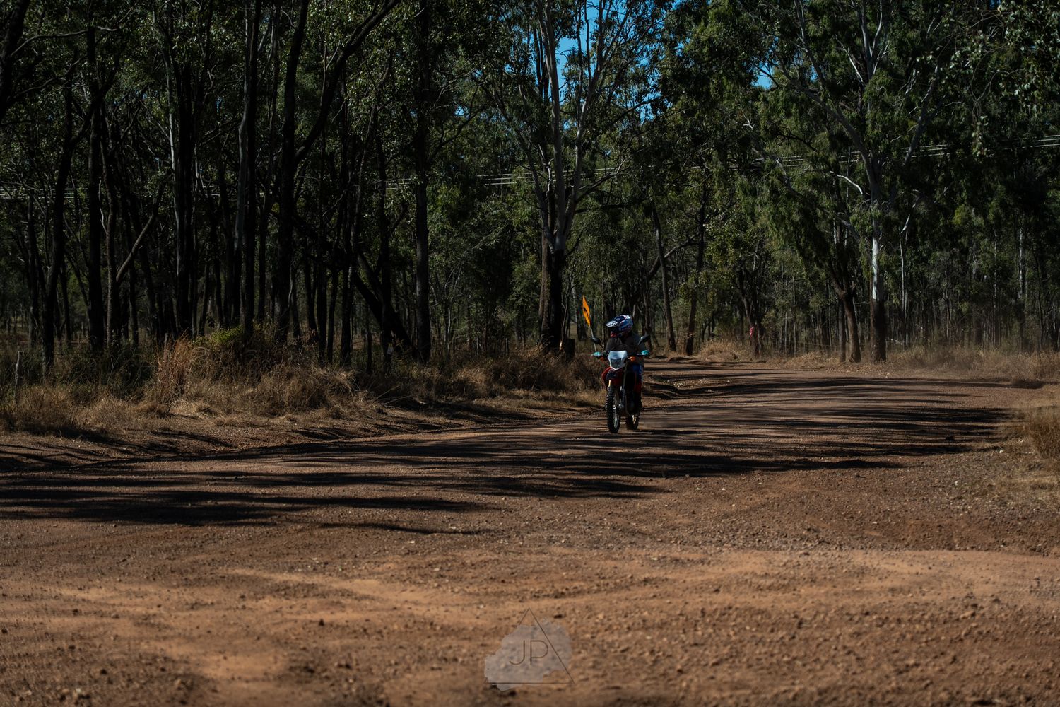 Mountain bikers riding along a dusty bush trail through tall eucalyptus trees in natural woodland.