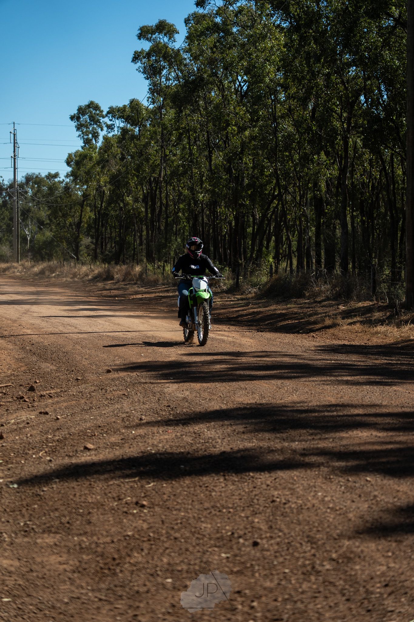 A dirt bike rider navigating a dusty trail through tall eucalyptus trees on a sunny day.