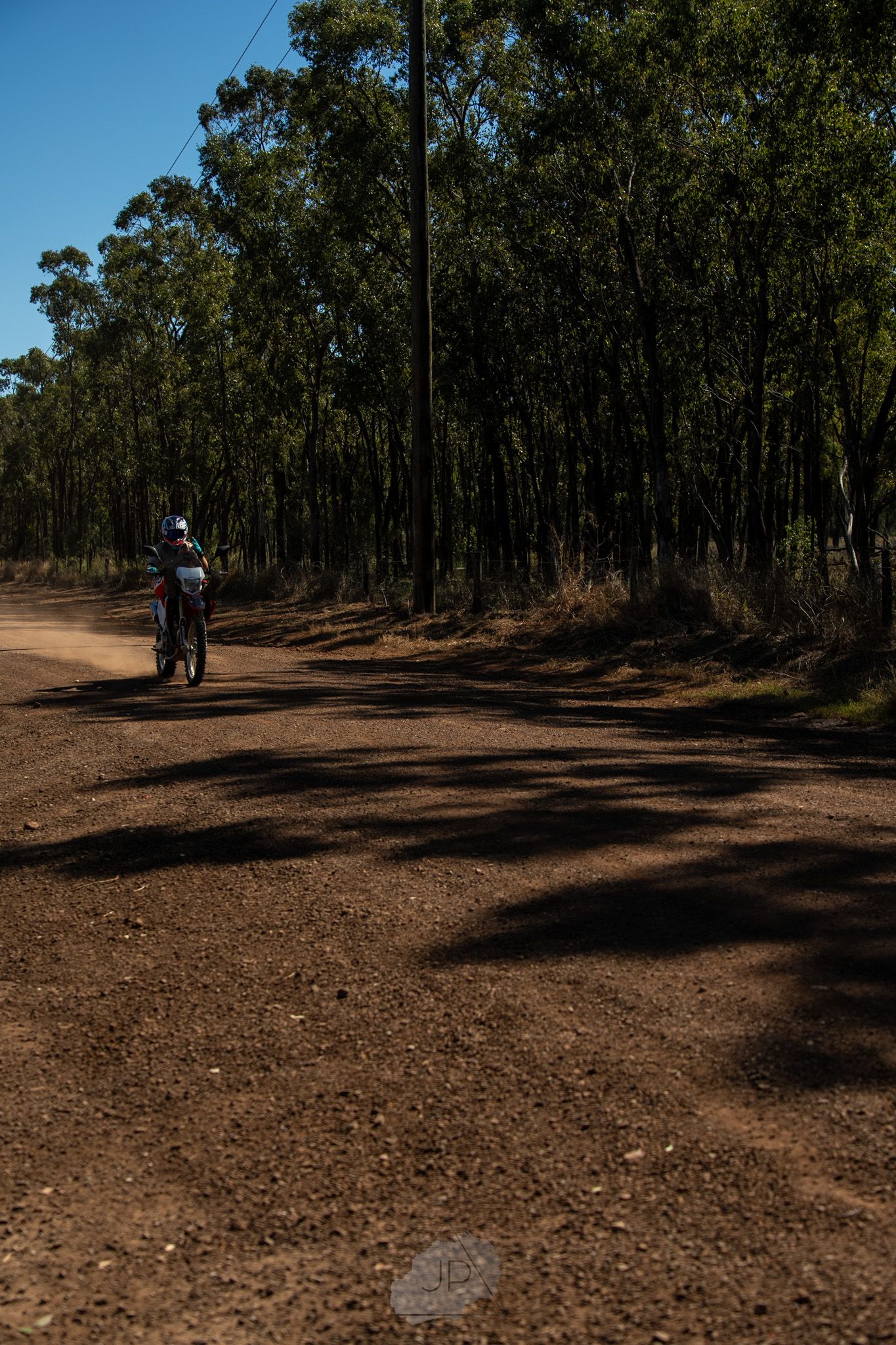 Mountain bikers navigating a dusty path through tall eucalyptus trees in an Australian bush setting.
