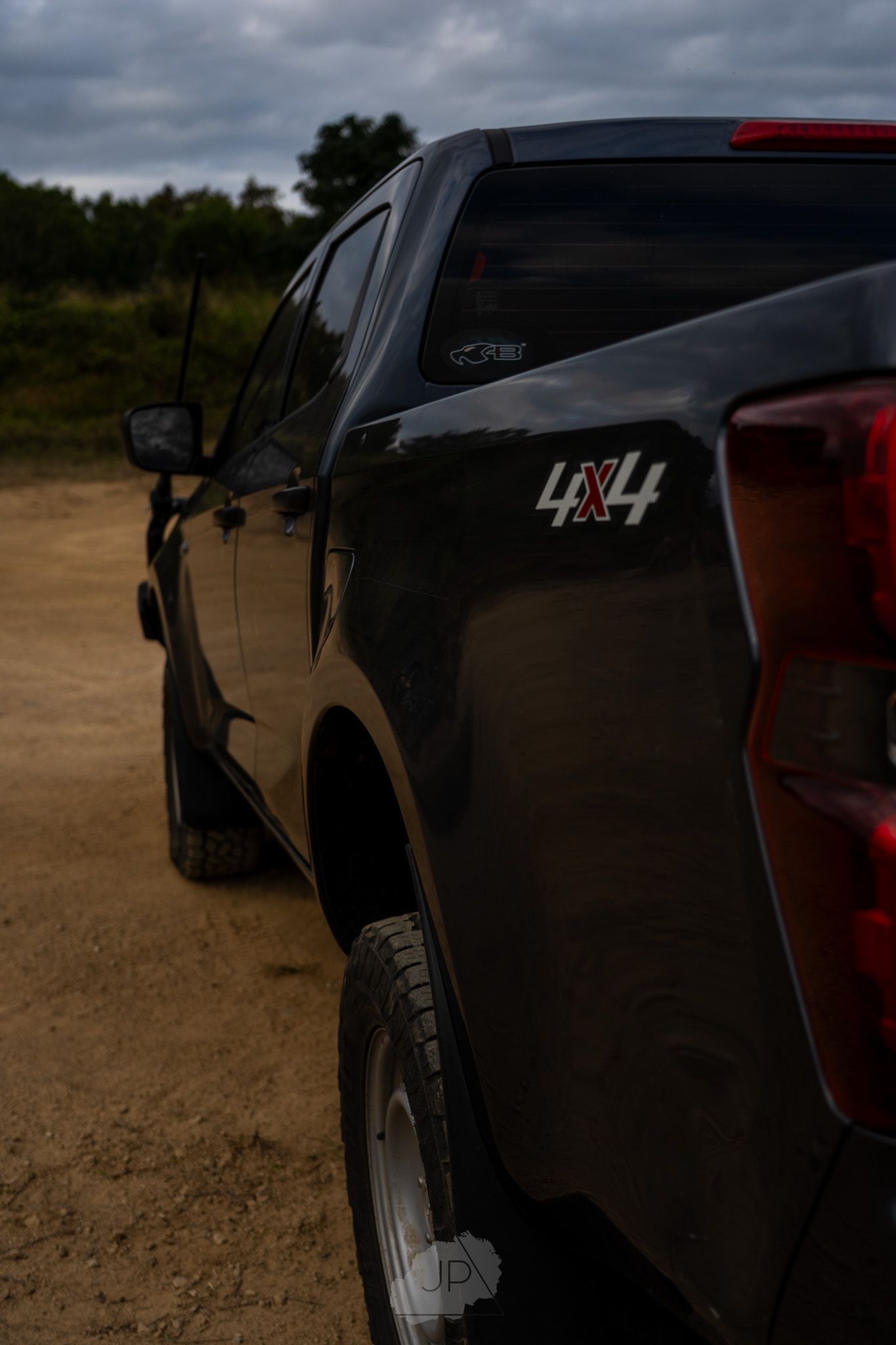 Close-up view of a black pickup truck's rear quarter panel and tailgate showing TSX badge against cloudy sky.