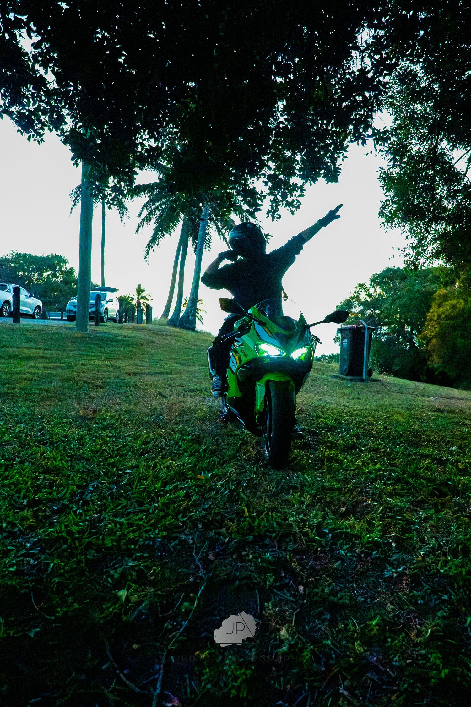Silhouetted figure performs dynamic martial arts moves against a scenic palm tree and grassy landscape backdrop at dusk.