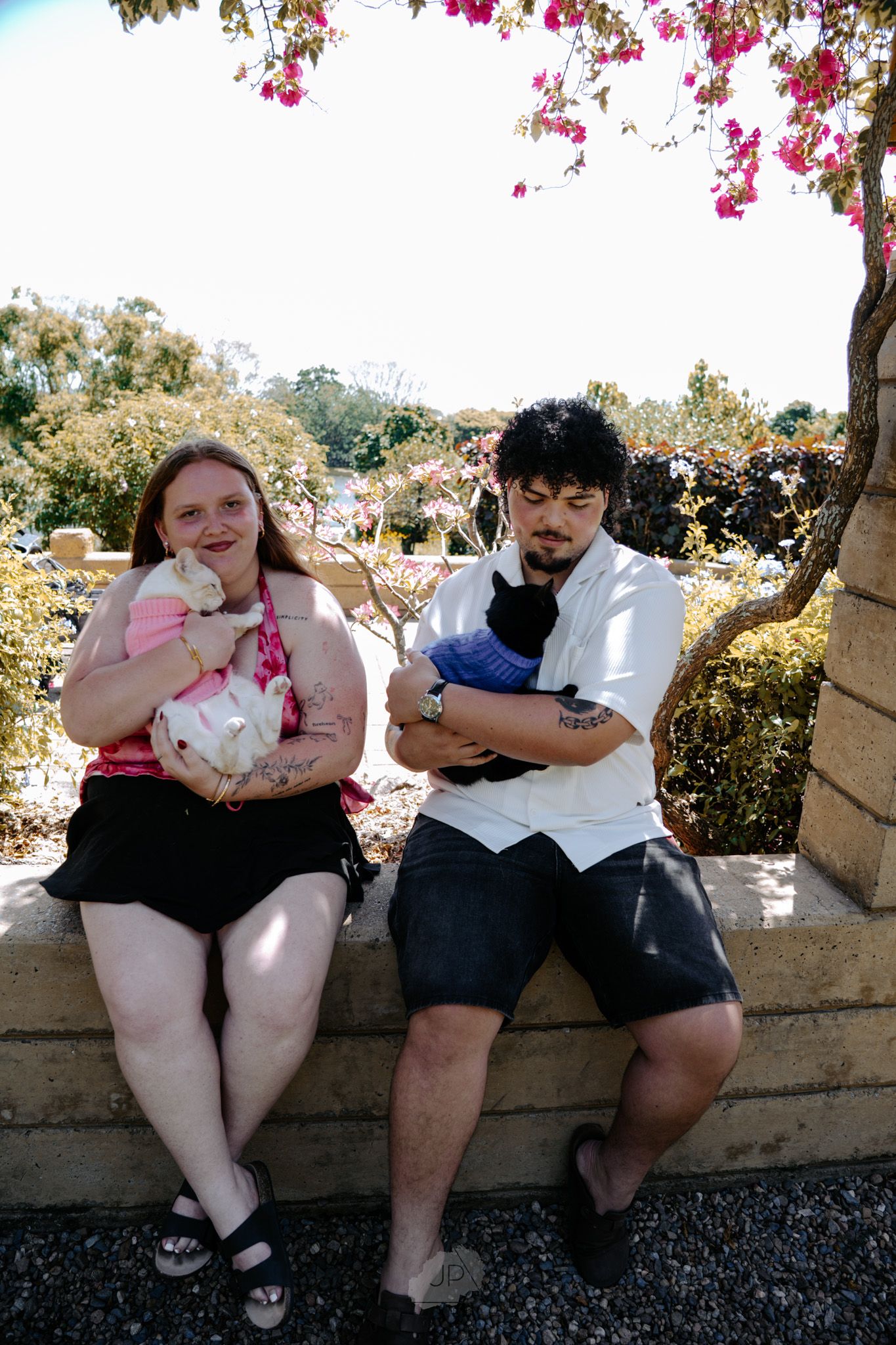 Four sequential photos show a couple sitting together on a stone wall under flowering trees in a garden setting.