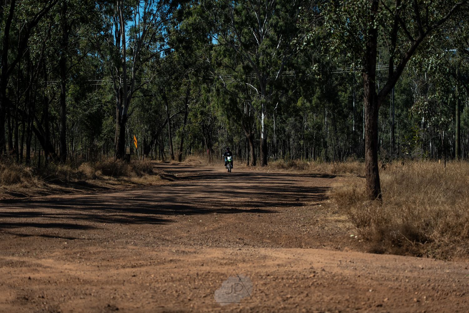 A lone person walks along a dirt path through an Australian eucalyptus forest on a sunny day.