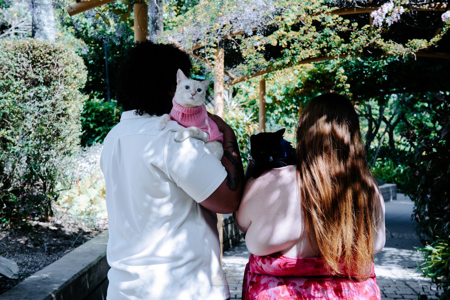 A sequence of photos showing someone in a white protective suit and mask examining a cat in an outdoor setting.