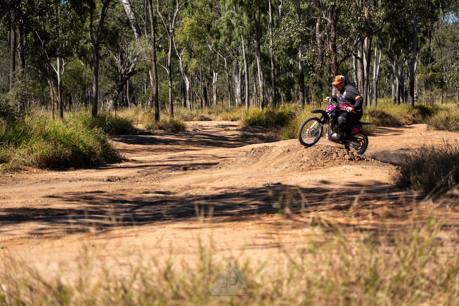 Mountain bikers navigate a scenic dirt trail winding through tall eucalyptus trees in a sun-dappled Australian forest.