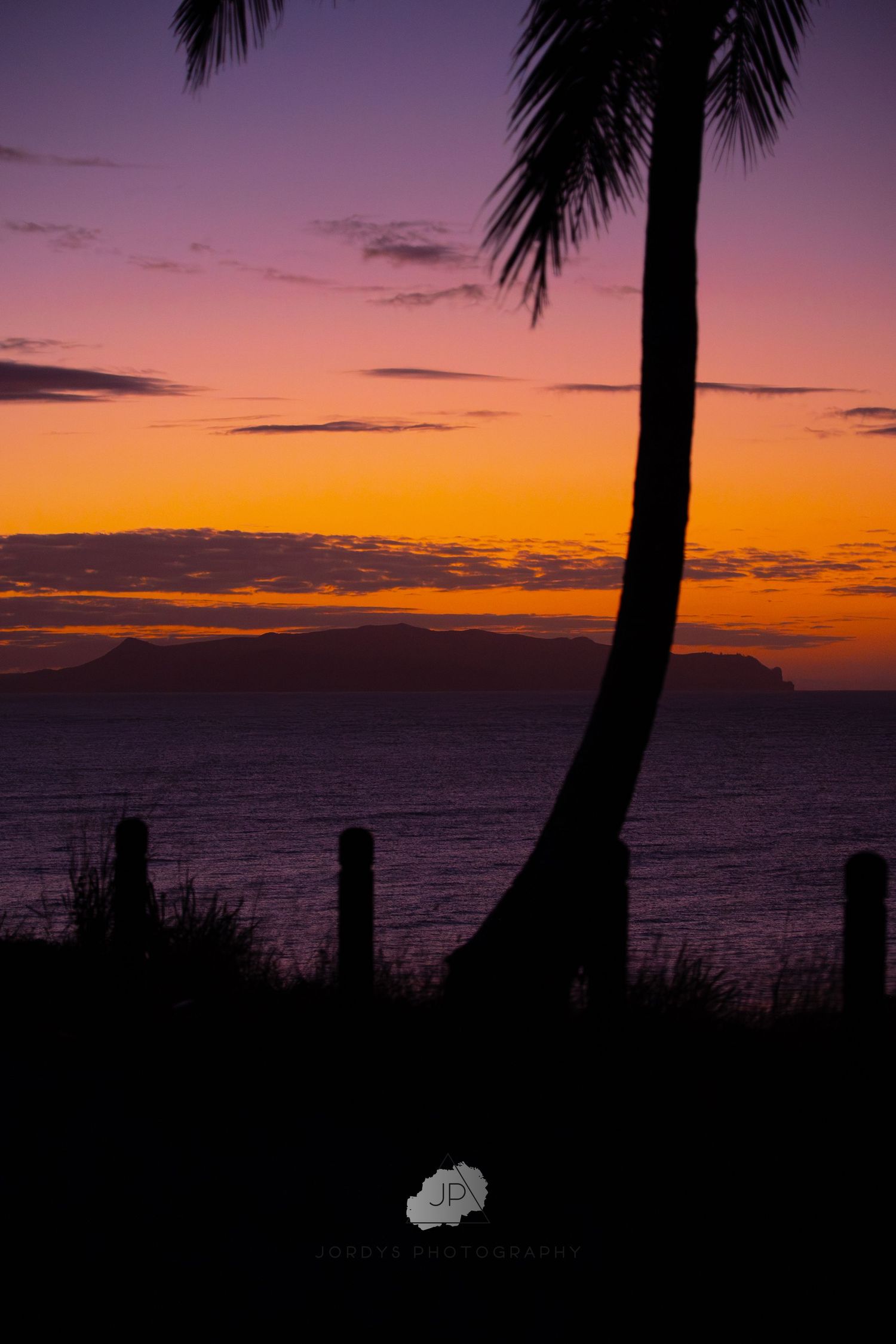 A curved palm tree silhouetted against a vibrant orange and purple sunset sky over the ocean horizon.