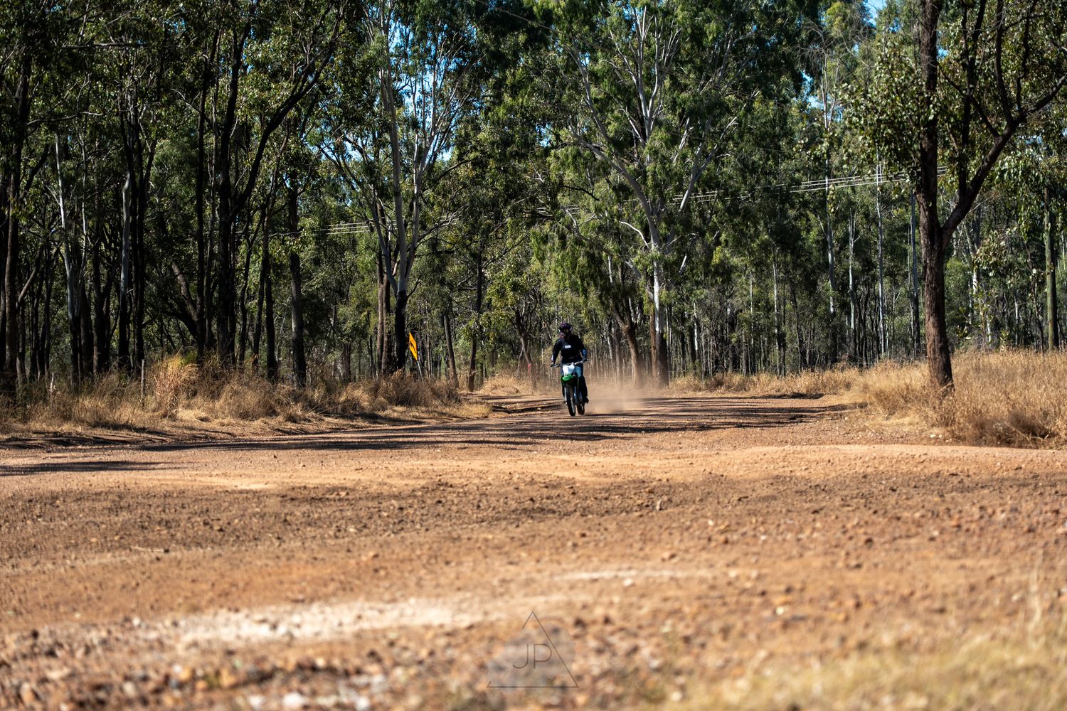 A dusty dirt road curves through a scenic eucalyptus forest in the Australian outback on a sunny day.