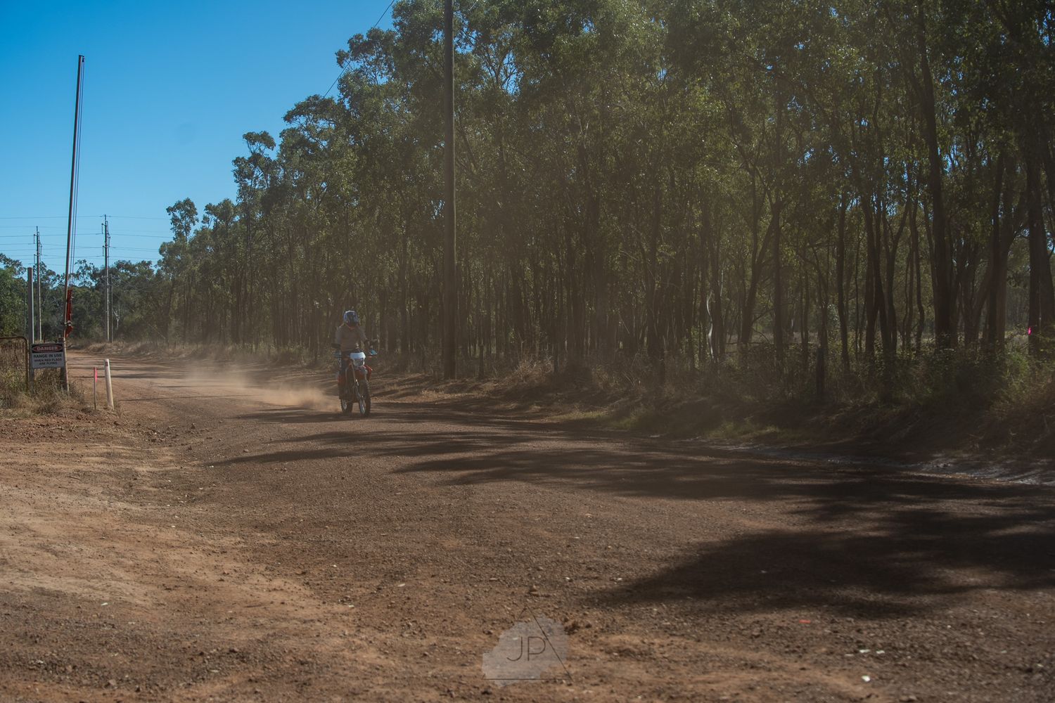 A winding dirt road cuts through a dry eucalyptus forest with tall trees lining both sides of the path.
