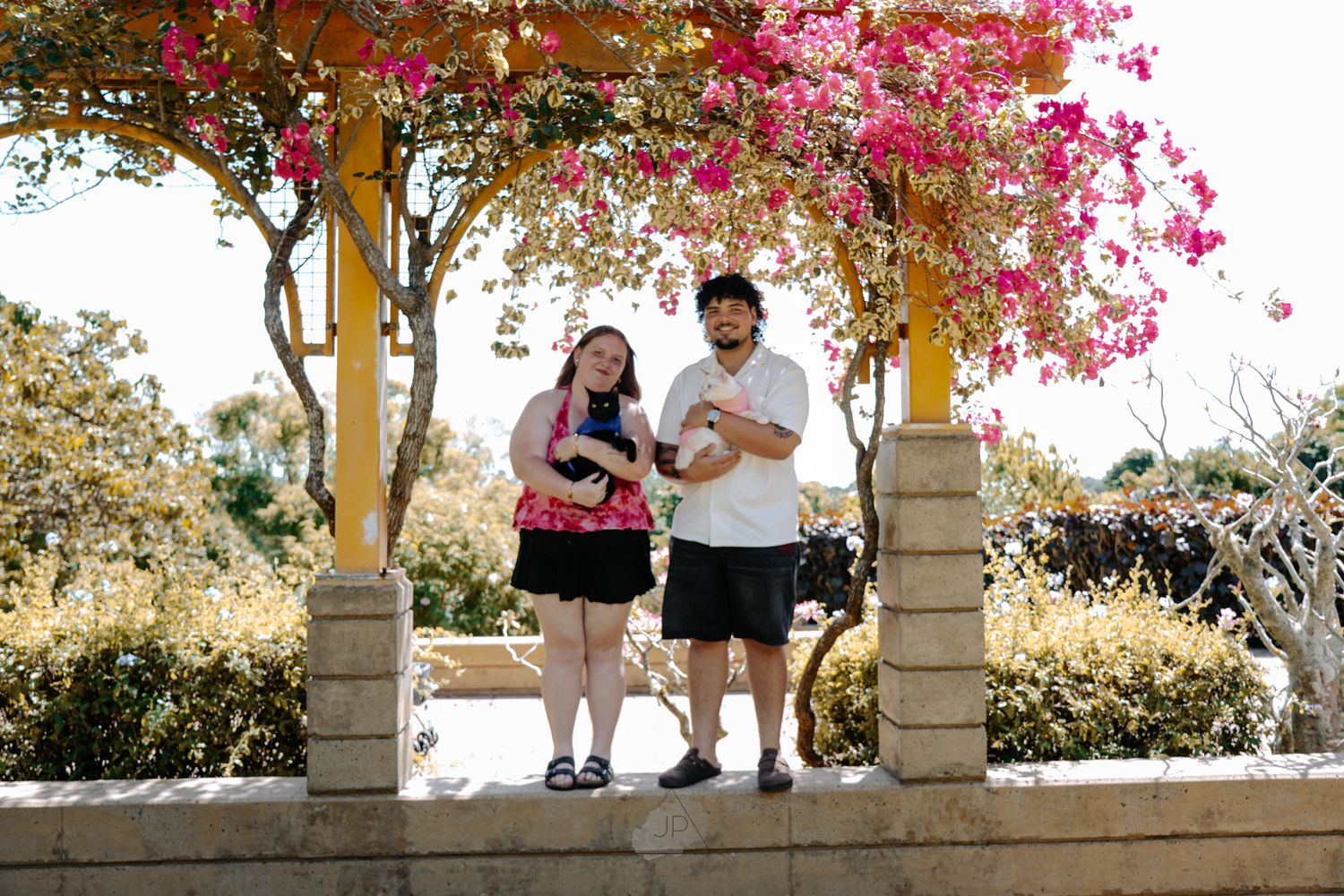 A couple sits under a pergola adorned with vibrant pink bougainvillea flowers in a garden setting.