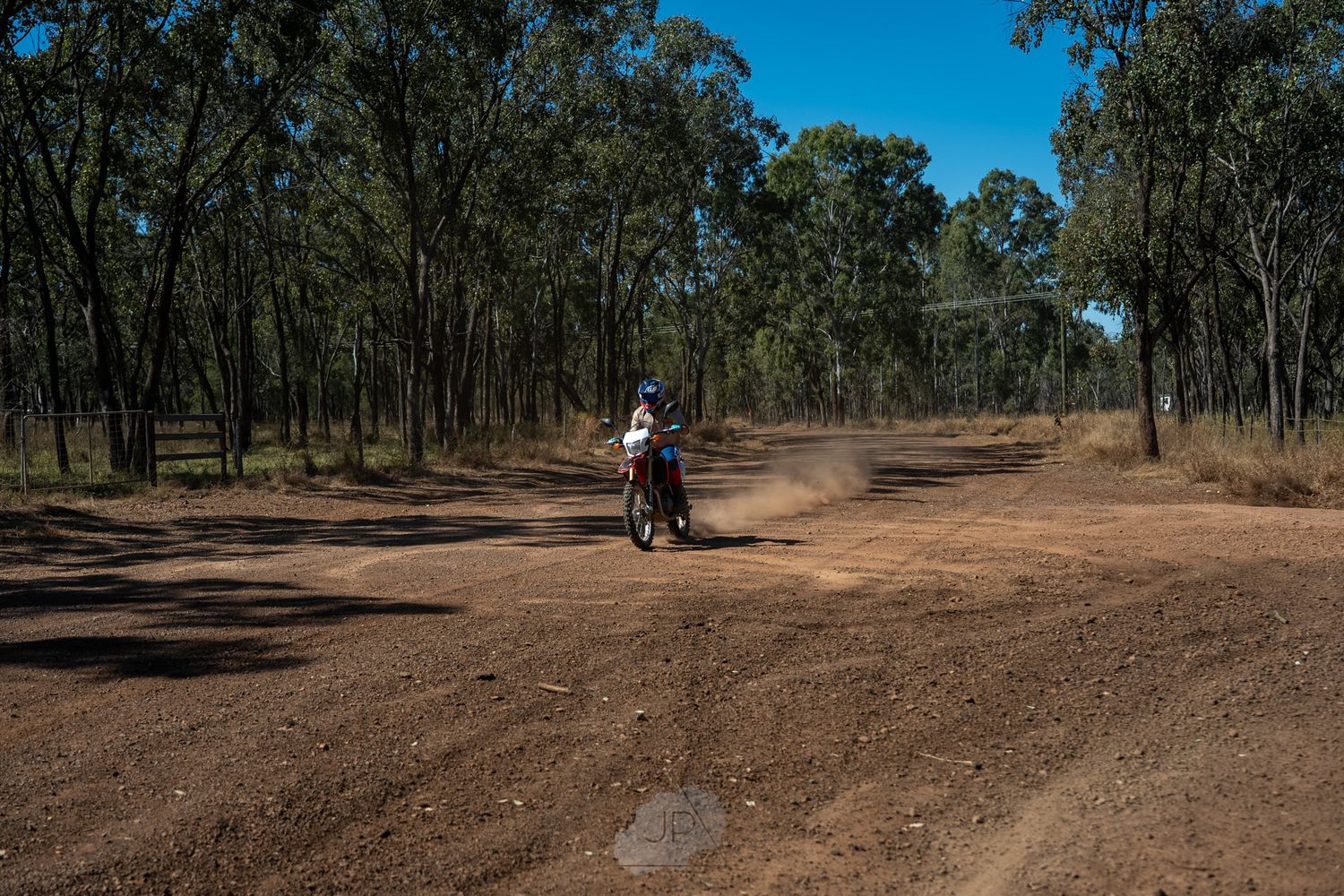A dirt bike rider navigates a winding dirt trail through dense eucalyptus forest on a sunny day.